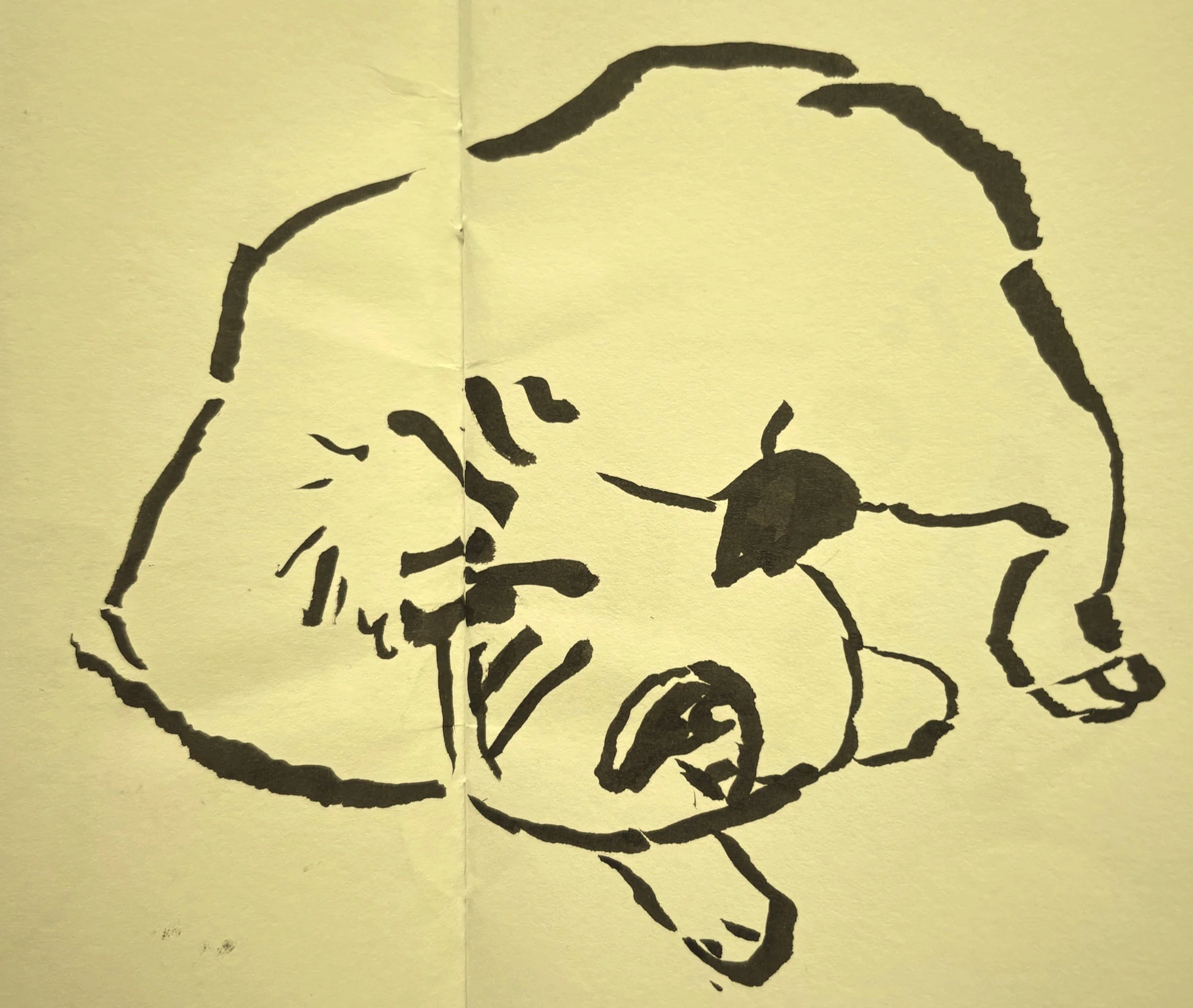 Sleeping dog illustration symbolising calm, restoration, and trust in the body’s healing capacity.