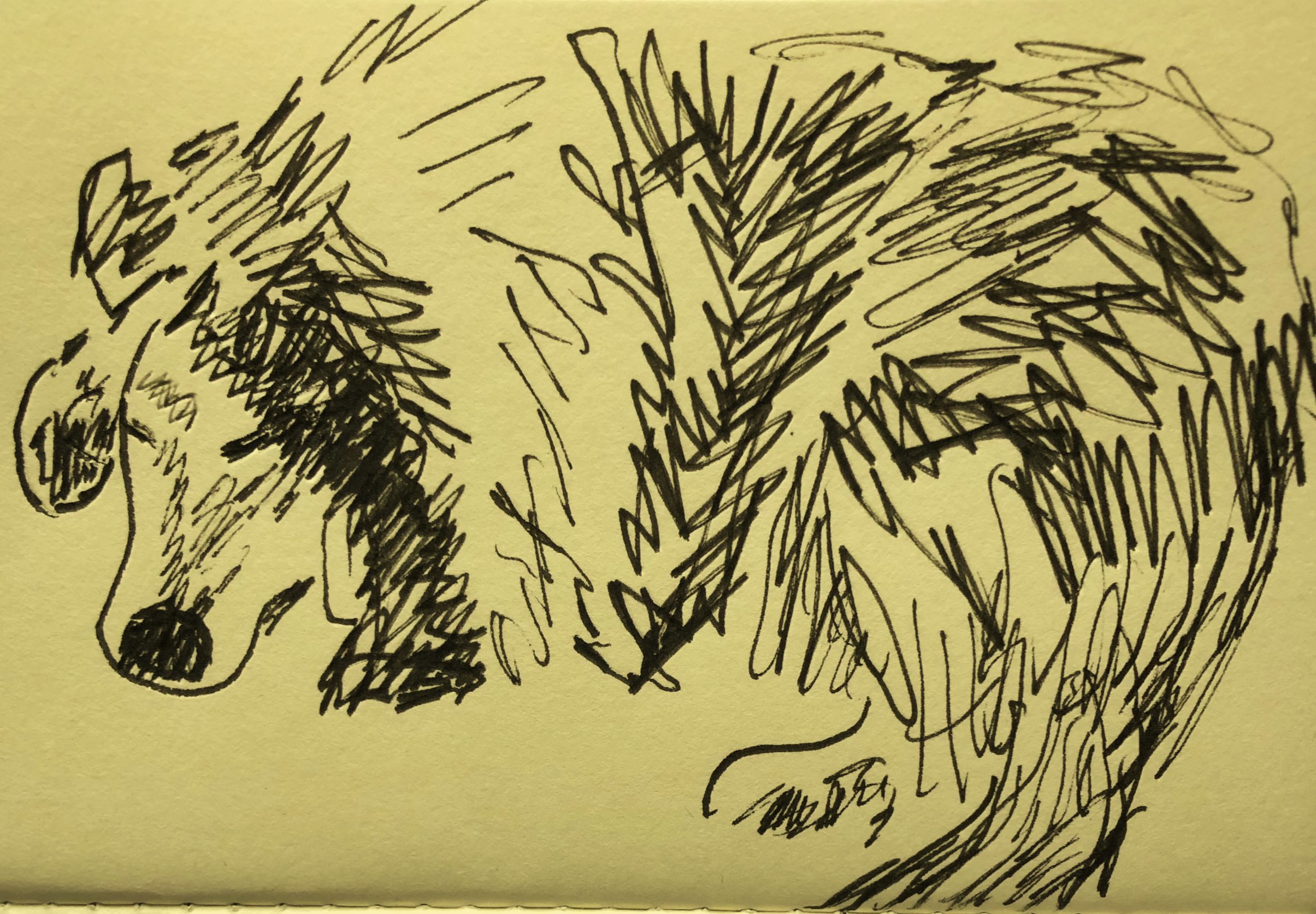 homeopathy emotional wellbeing illustration