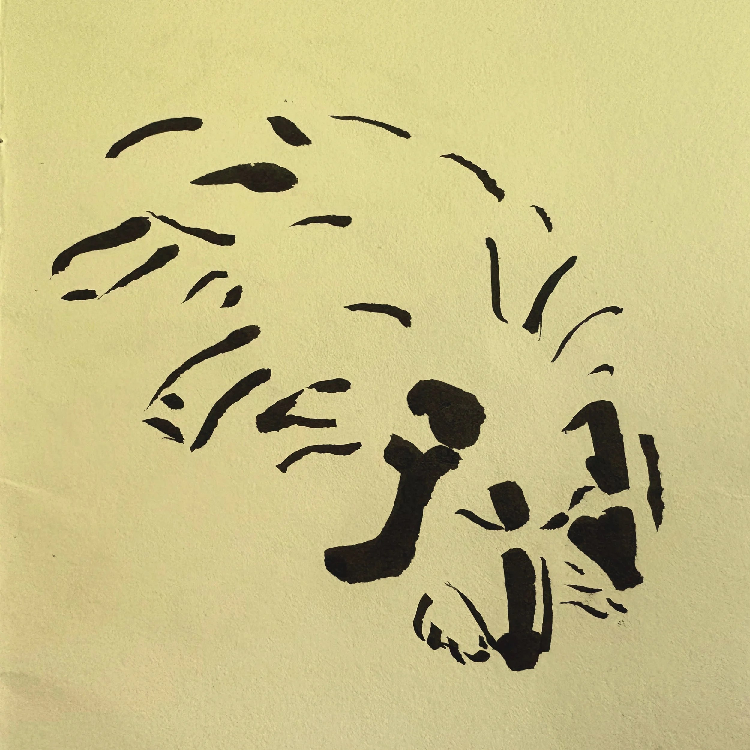 uiet, restful scene suggesting calm and emotional settling