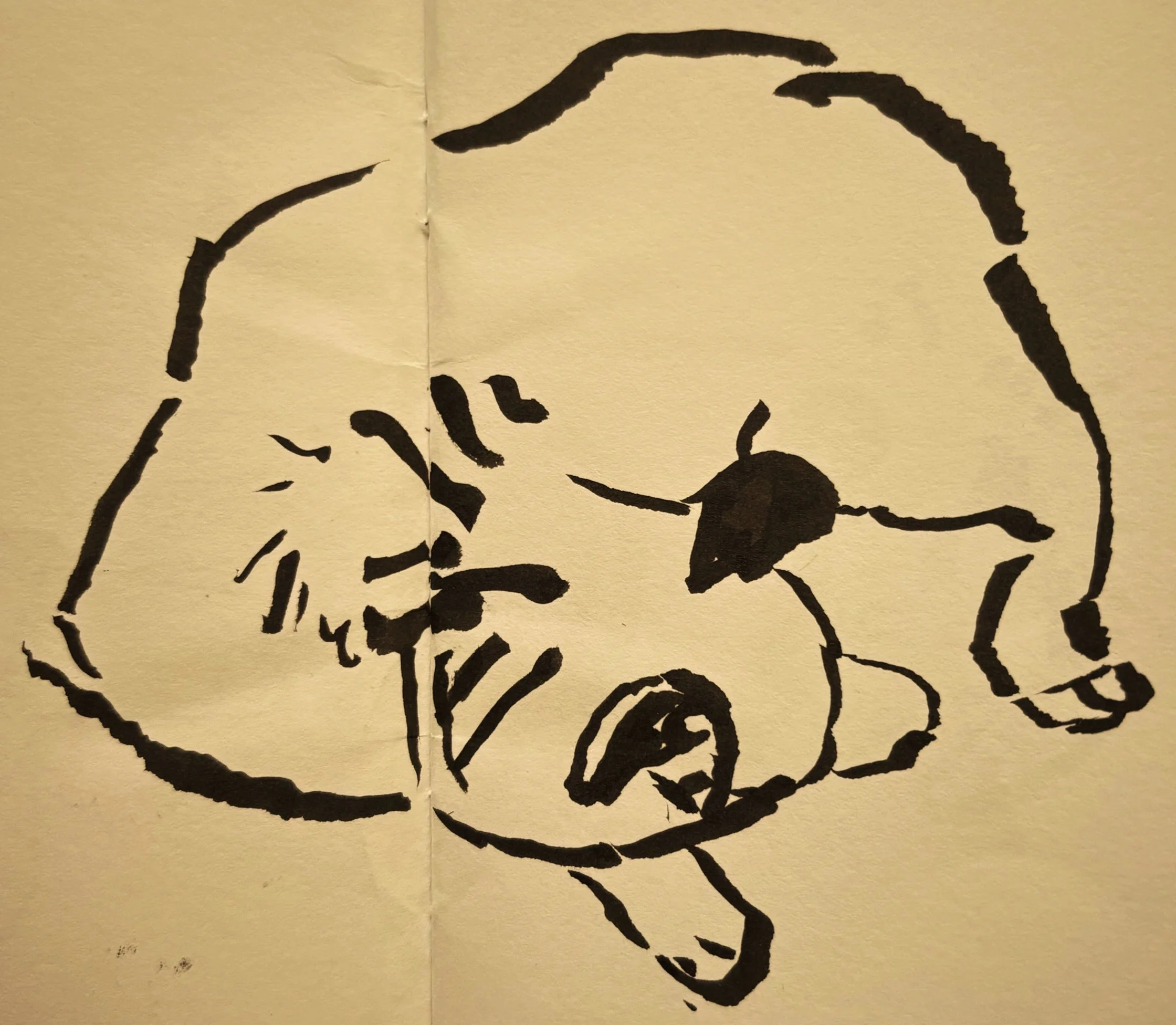 Ink drawing of a sleeping dog, conveying rest, safety, and recovery.