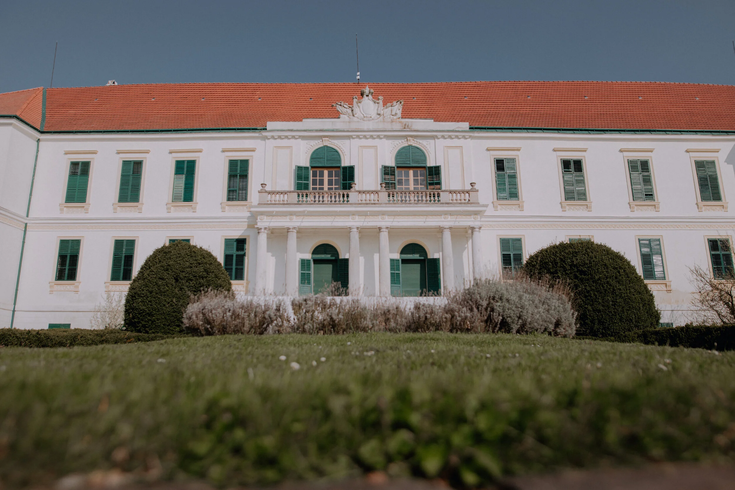 Schloss Loosdorf — Piatti