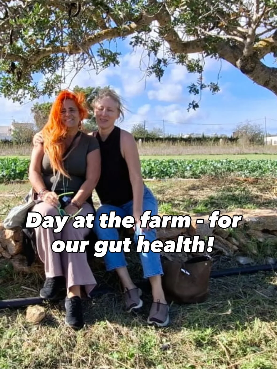 What a weekend on an Ibiza farm!

Great for gut health! 

@ecofeixes 

@sescasesfincaeco 

@coop.agroeivissa

@instapitiusa

@juntos.farm

@terravivaibiza

Food by @candeuibiza