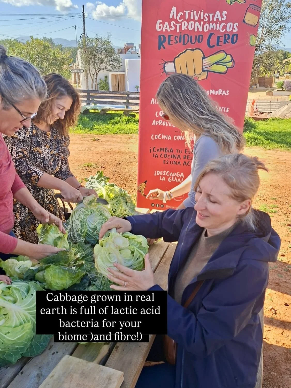 Here&rsquo;s how we made fermented sauerkraut cabbage with zero waste chef @erika_tangari at Forada farmers&rsquo; market in Ibiza this weekend. 
It&rsquo;s the best way to get your probiotics for better gut health, brain and immune system imo and in