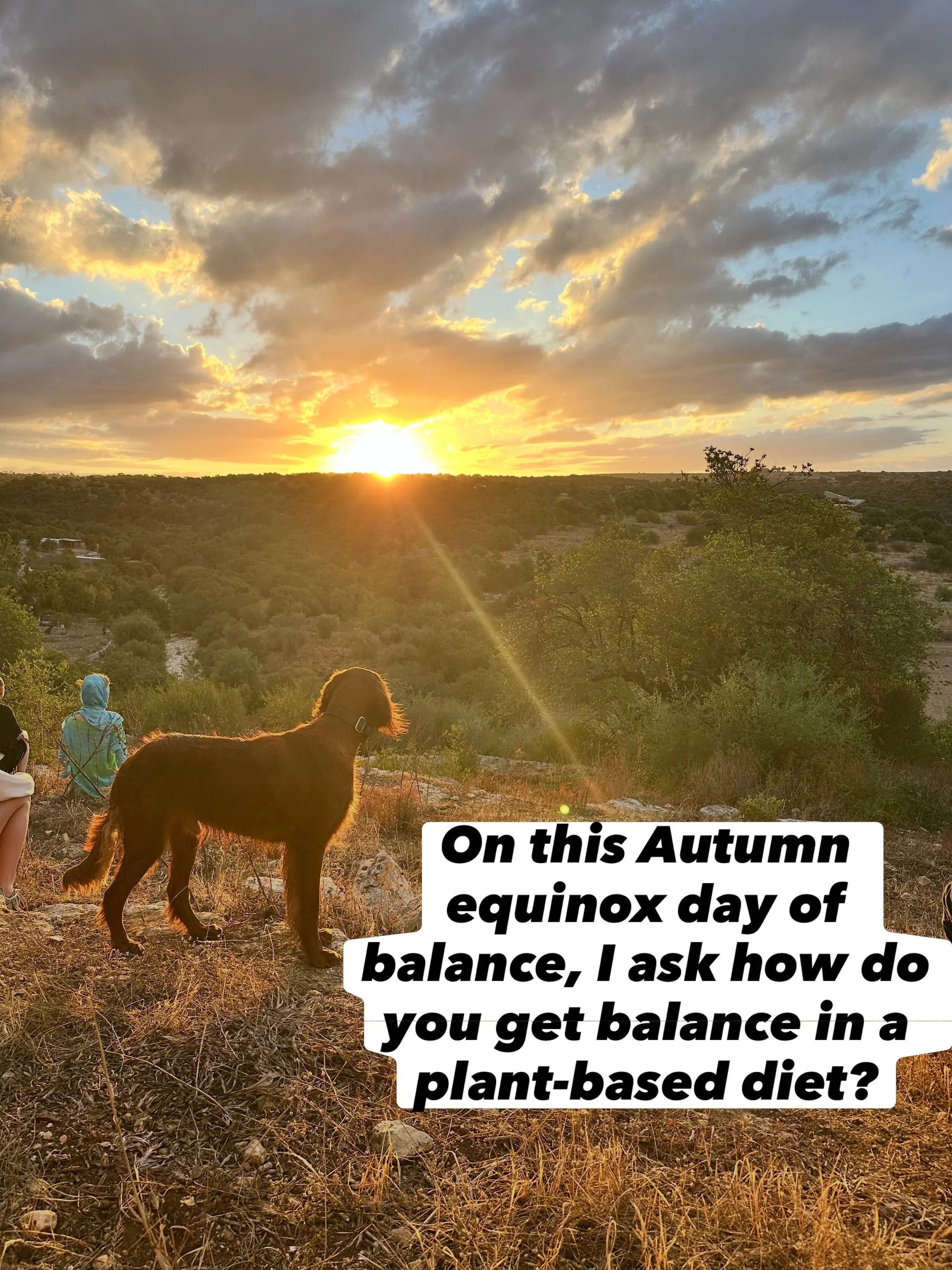 Postcard from Sicily - and how to do plant-based well. 
At the 3 Boons Berlin Equinox Autumn retreat in Italy
