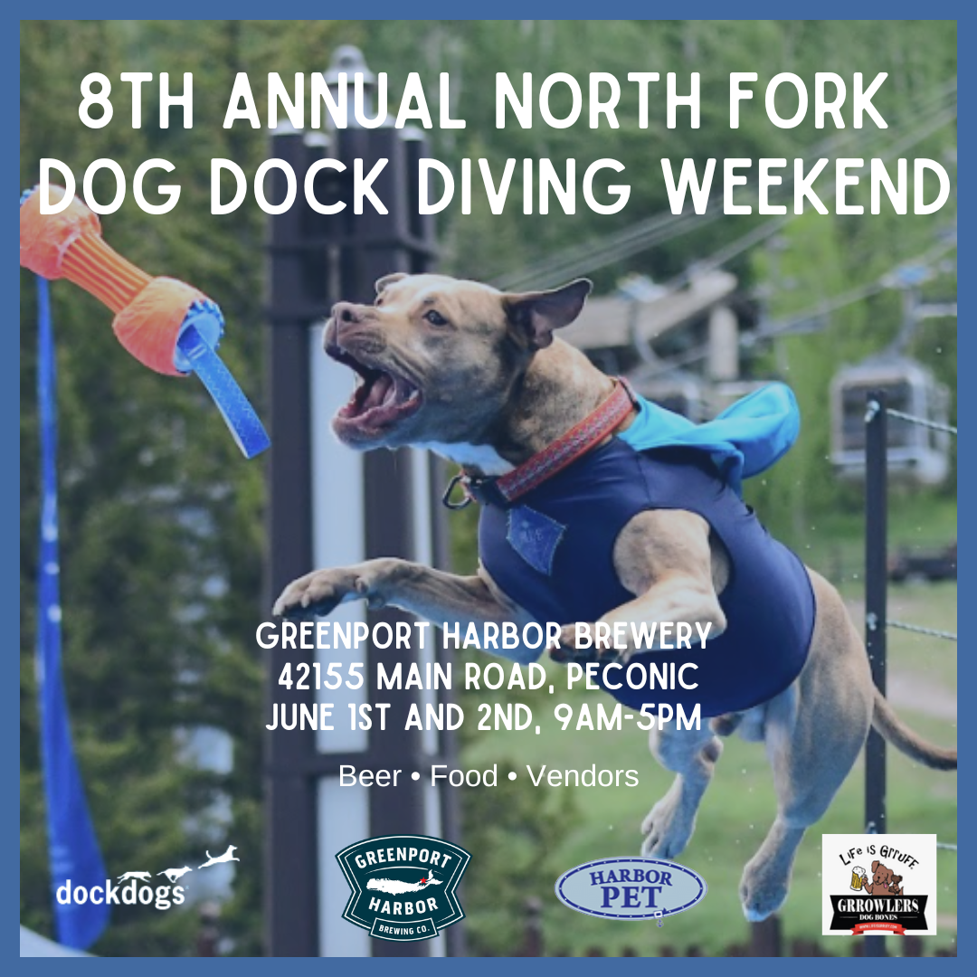 Dog Dock Dive 2024 — Greenport Harbor Brewing Company