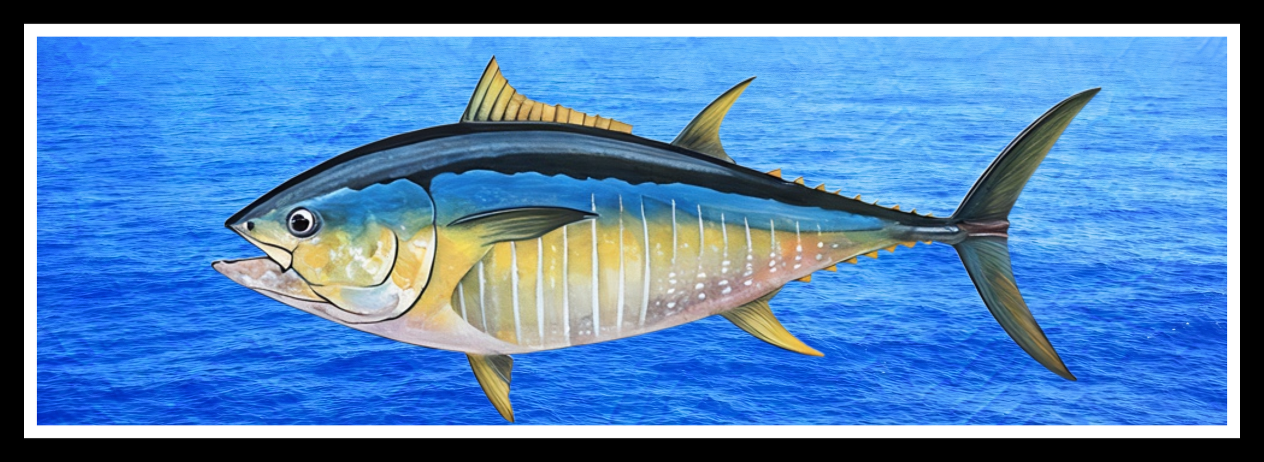 blue fin tuna art w brushstrokes.png