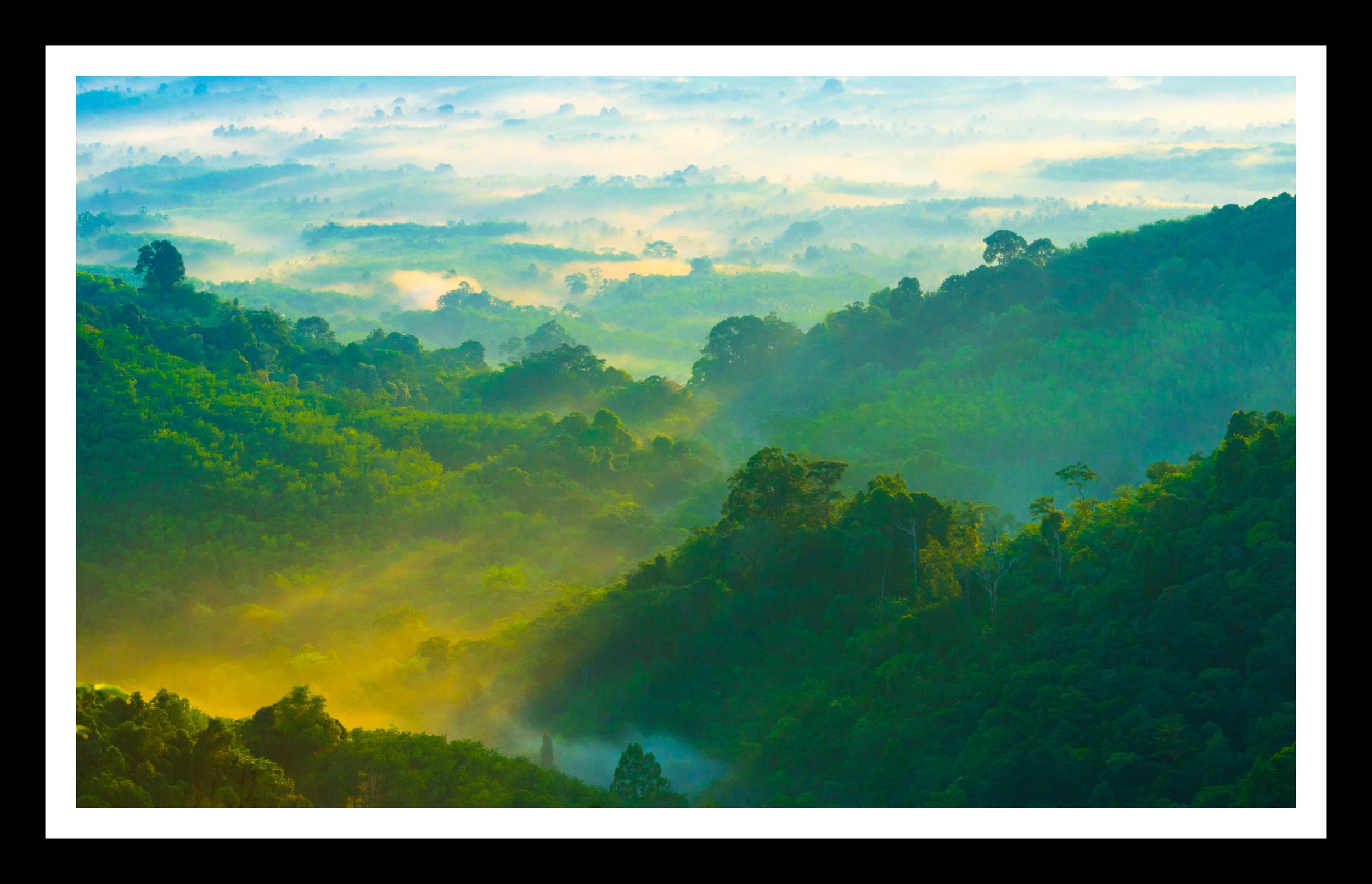 misty mountains ready.jpg