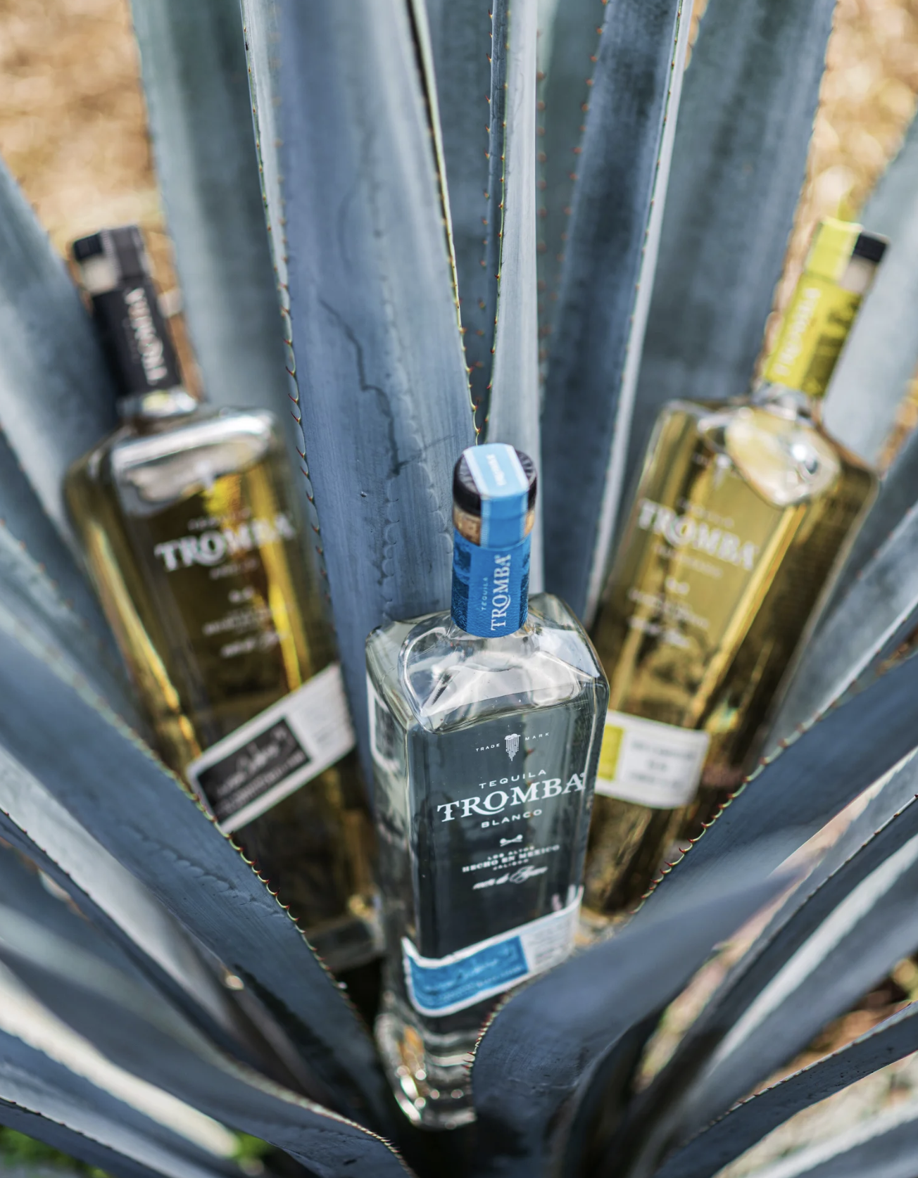 01 — Fotografía Publicitaria