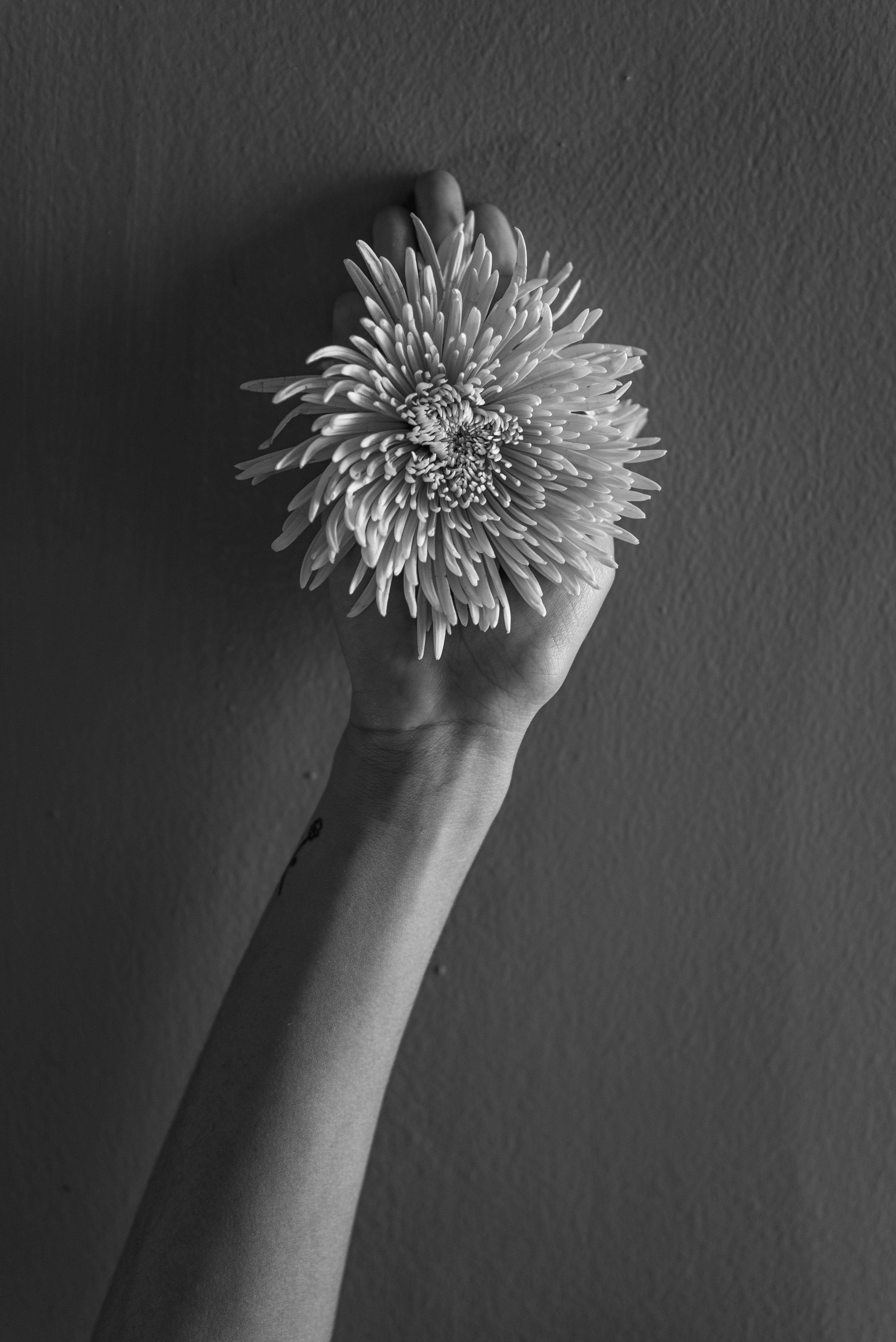 11092014-DSC_7360 copia.jpg