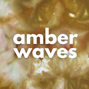 amber waves label.png