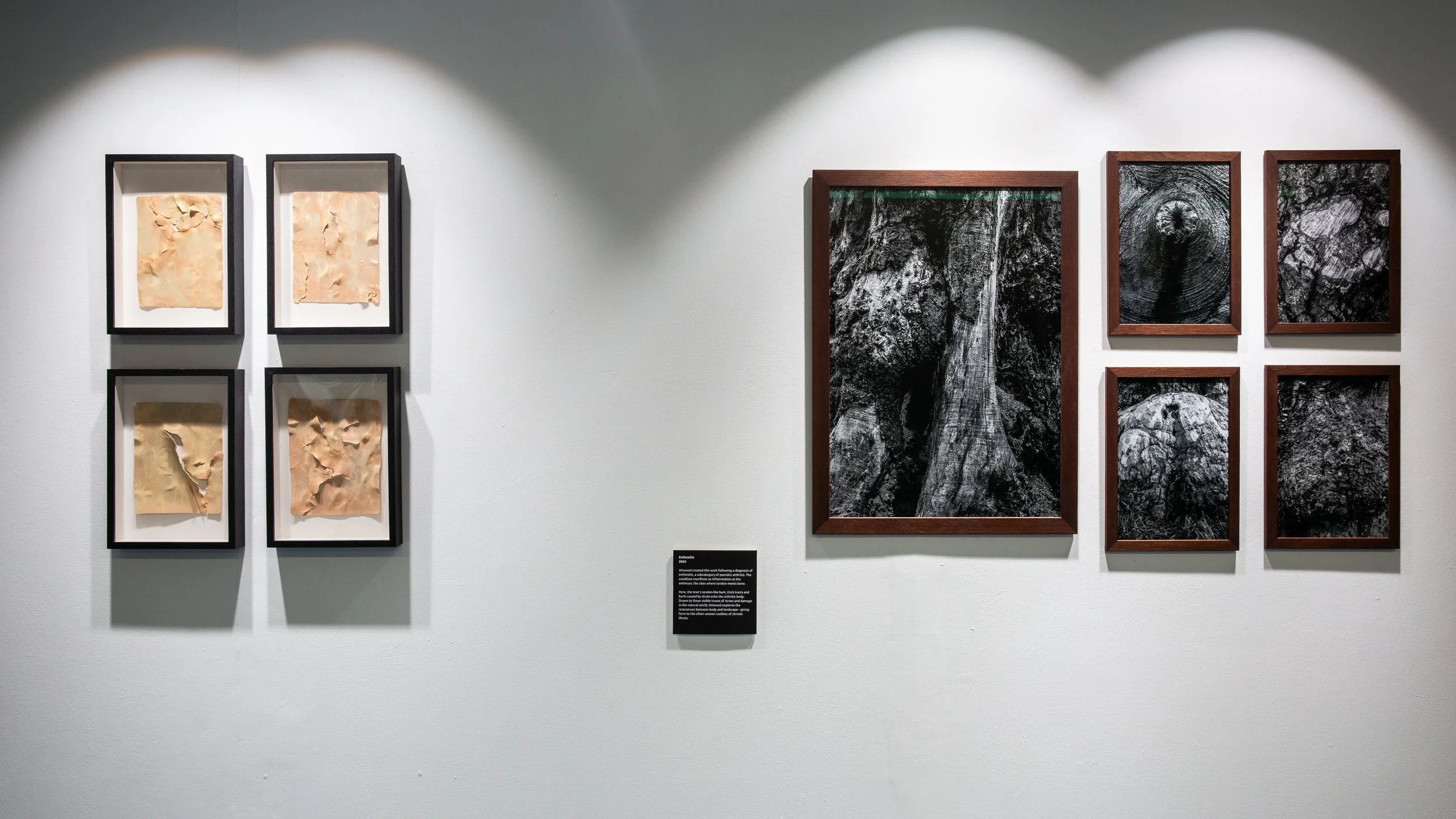 Install Shot-11.jpg