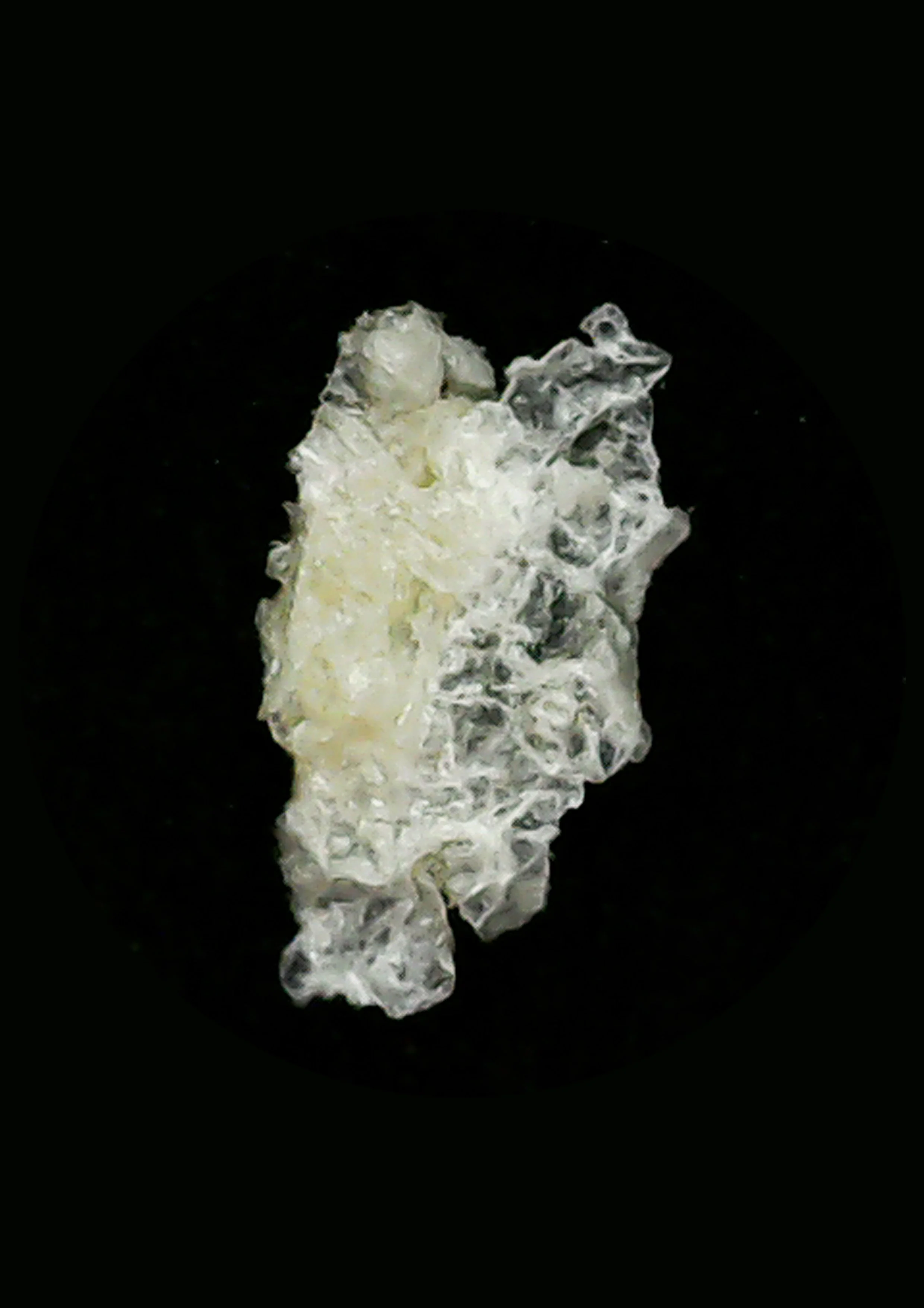 Skincell #5