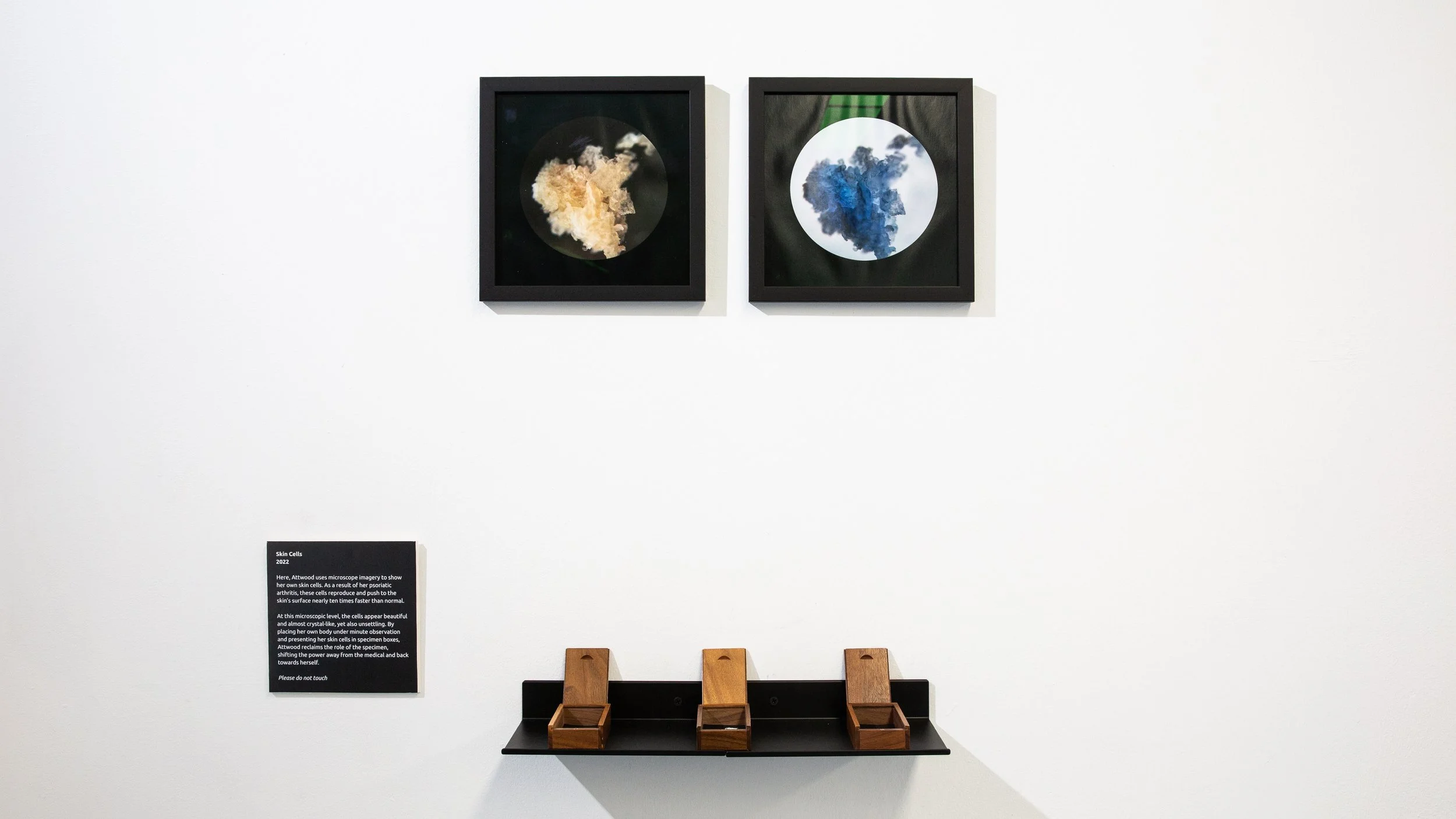 Install Shot-17.jpg