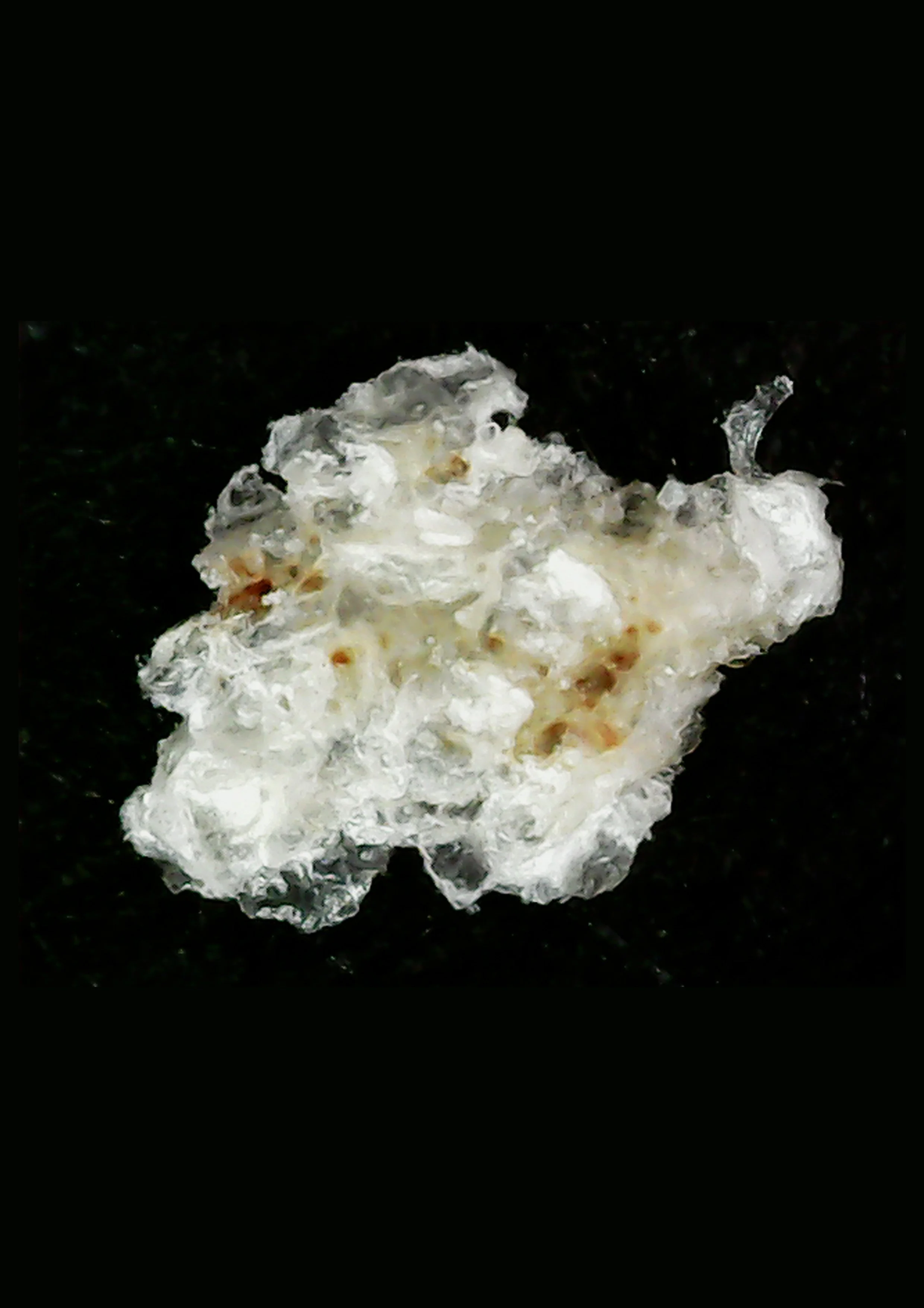 Skincell #3