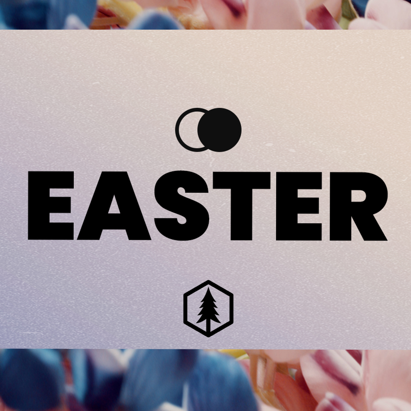 Easter Sunday 2025