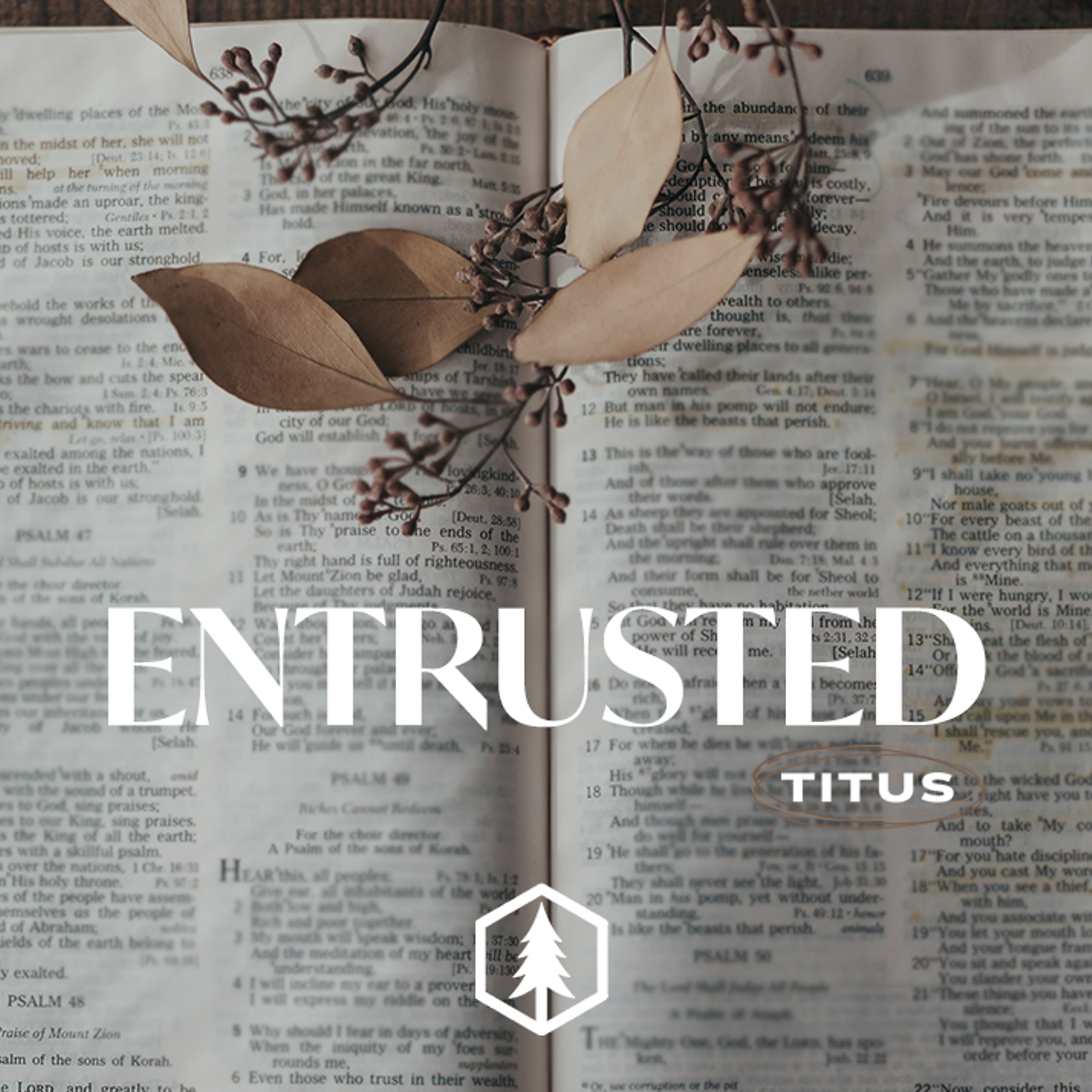 Titus 3:12-15 episode artwork