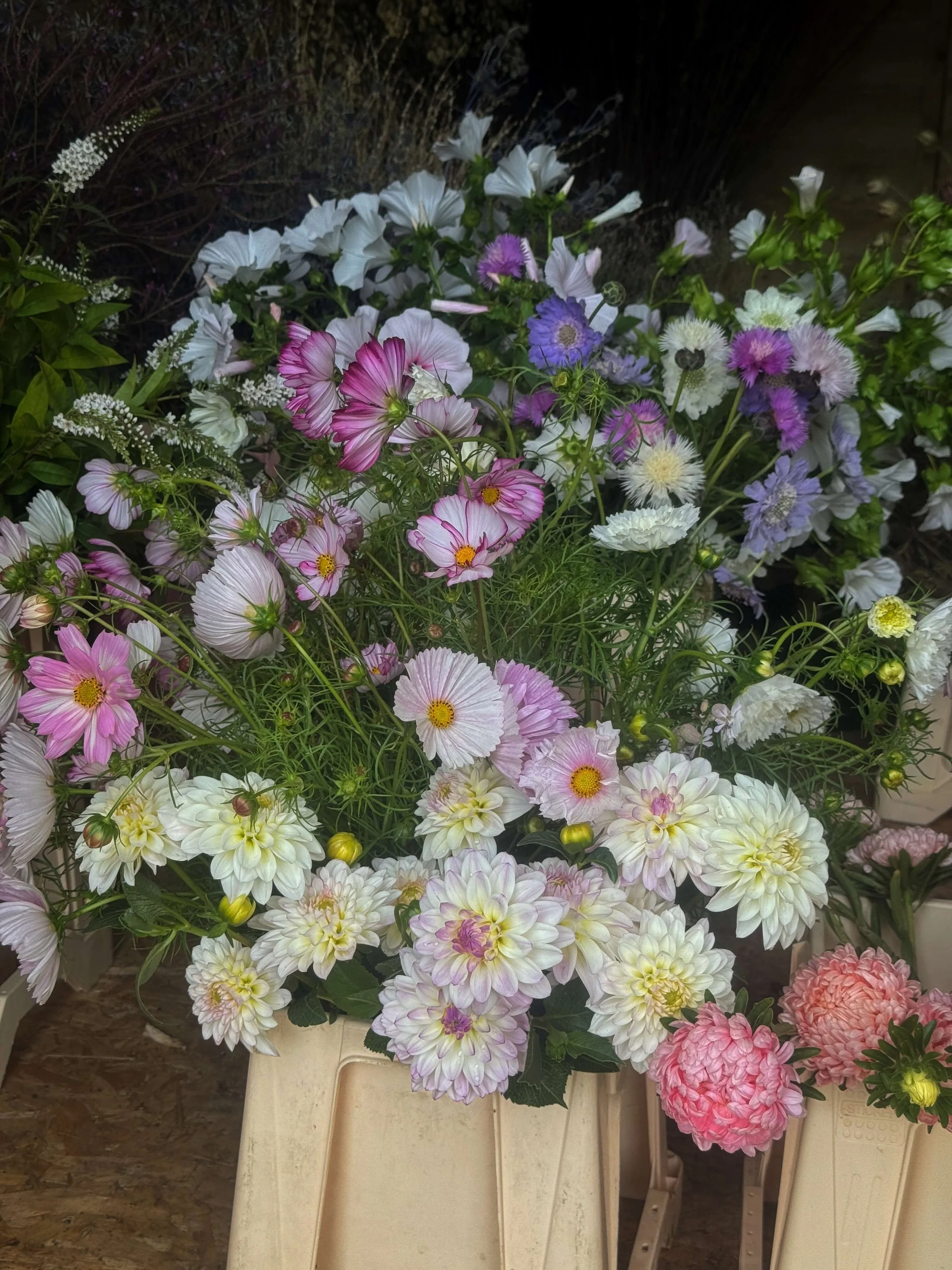 A colorful arrangement of various flowers including white, pink, purple, and light blue flowers in a dutch bucket.