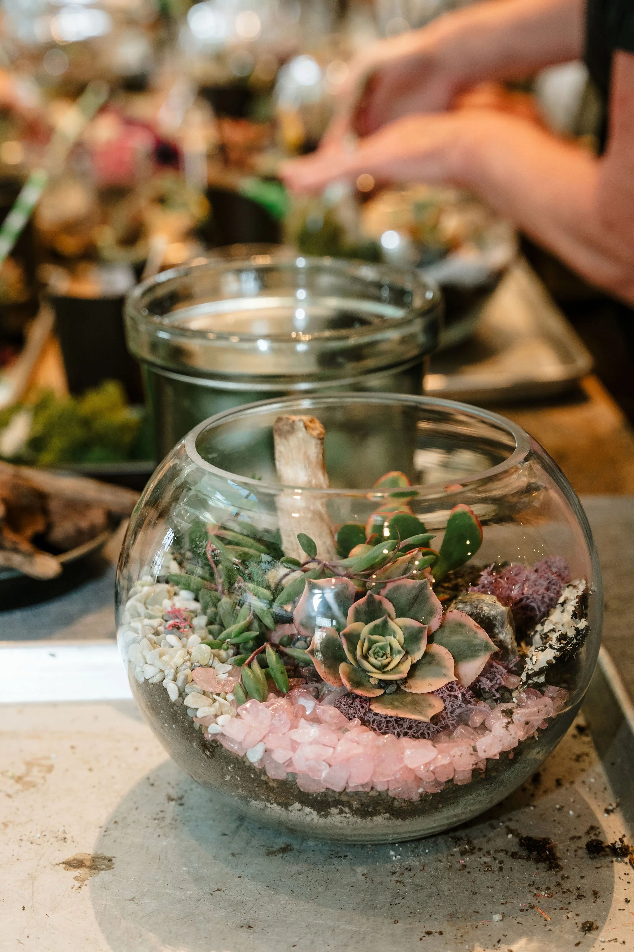 EARTH MONTH WORKSHOPS