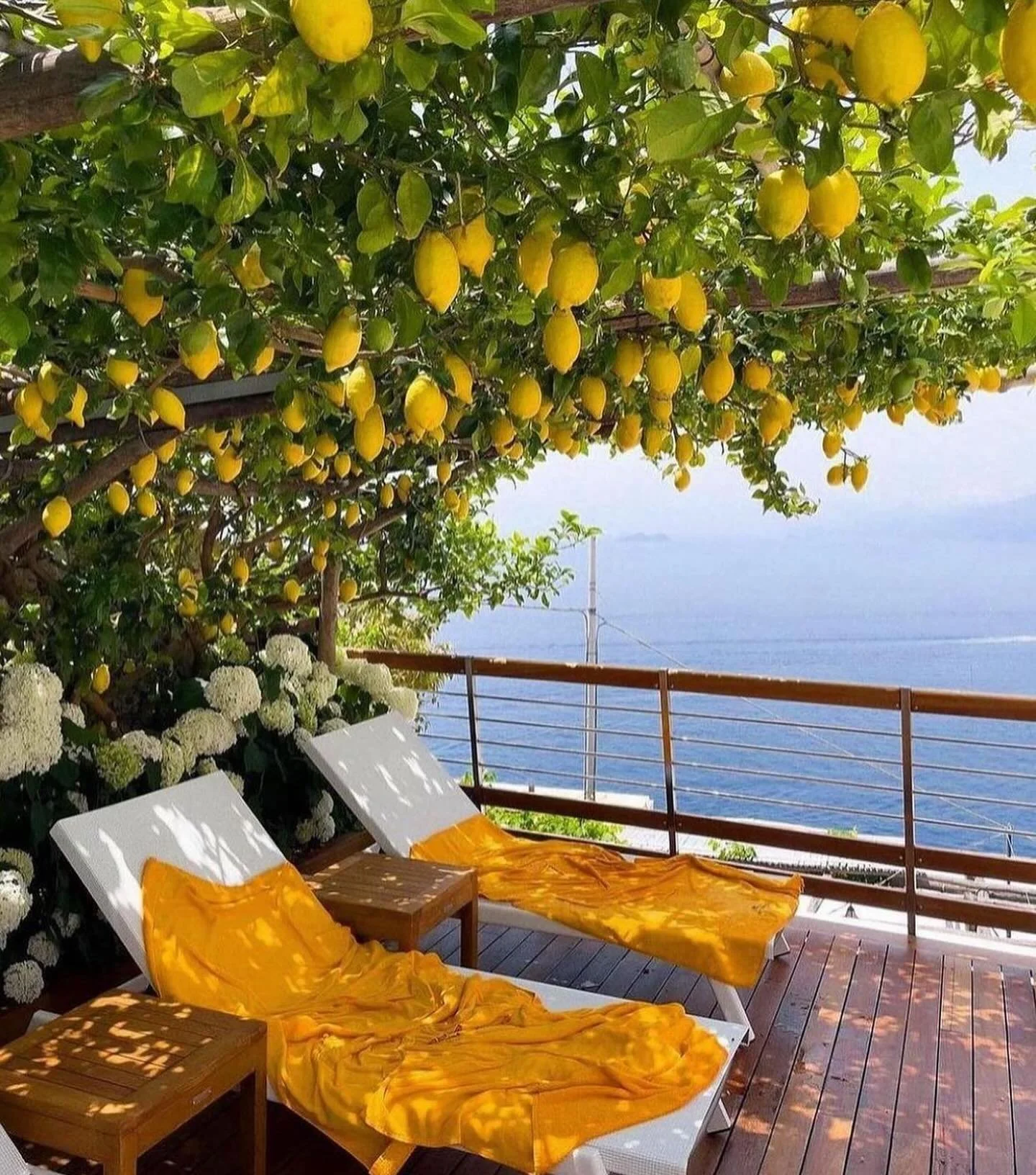 Lemons and lounging, a Mediterranean love affair 🍋💙

📸 @casaangelinalifestyle