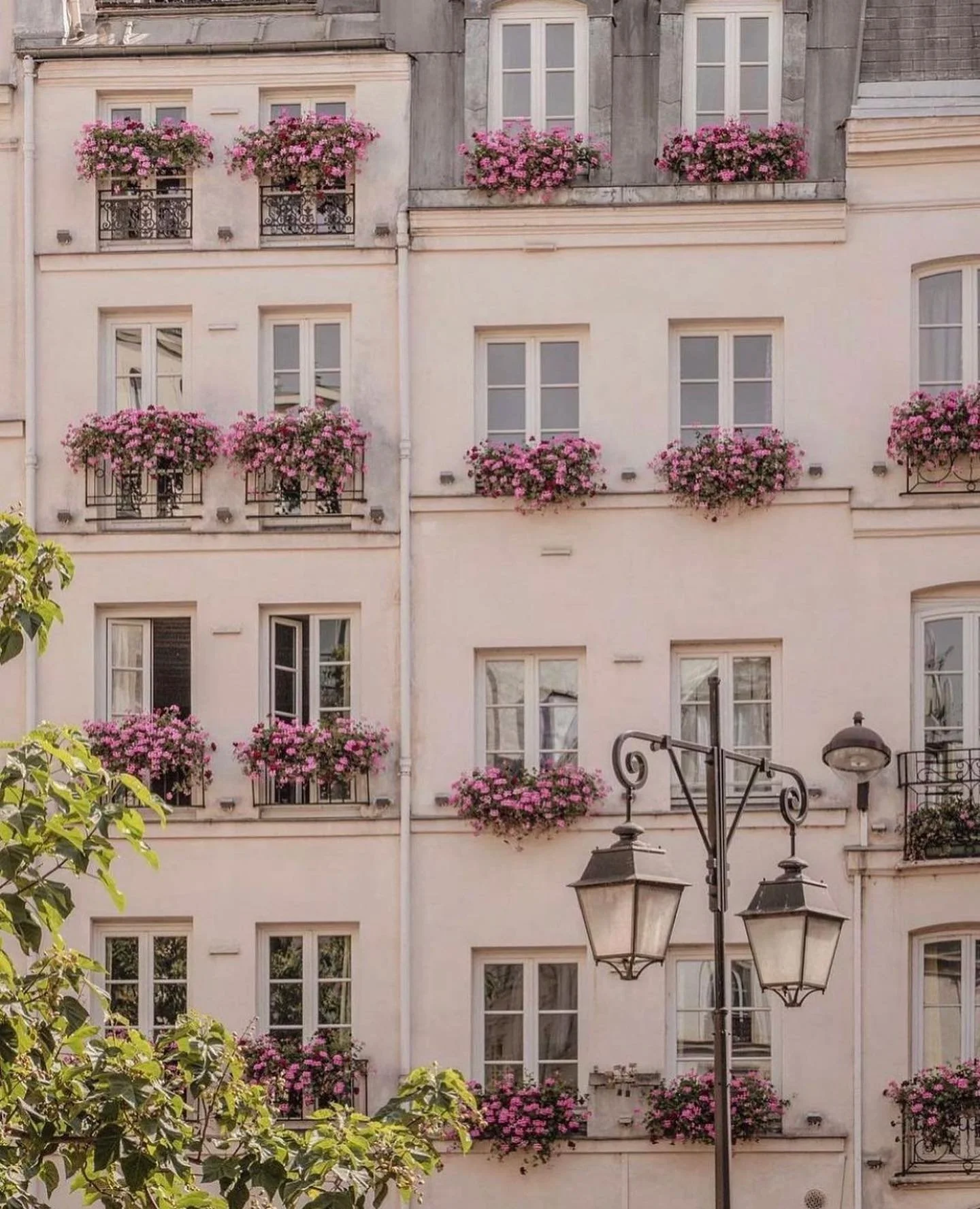 Hello Spring 🌸 🌺
.
.
.
.
.
.
📸 @one.afi