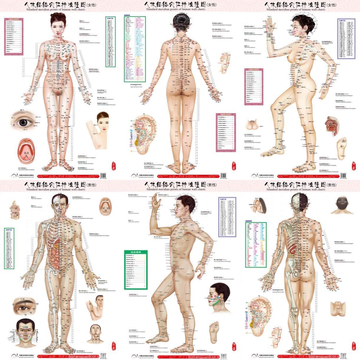 All Acupuncture Points.jpg
