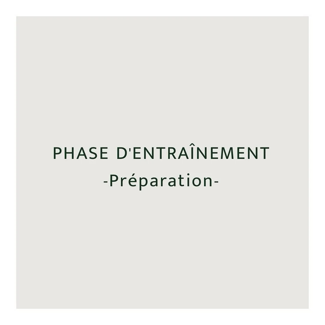 C&rsquo;est le d&eacute;but, on doit pr&eacute;parer le corps graduellement &agrave; prendre du volume et de l&rsquo;intensit&eacute; plus tard. Le but de ce 3-4 semaines est de garder l&rsquo;intensit&eacute; basse. On veut des zones de fr&eacute;qu