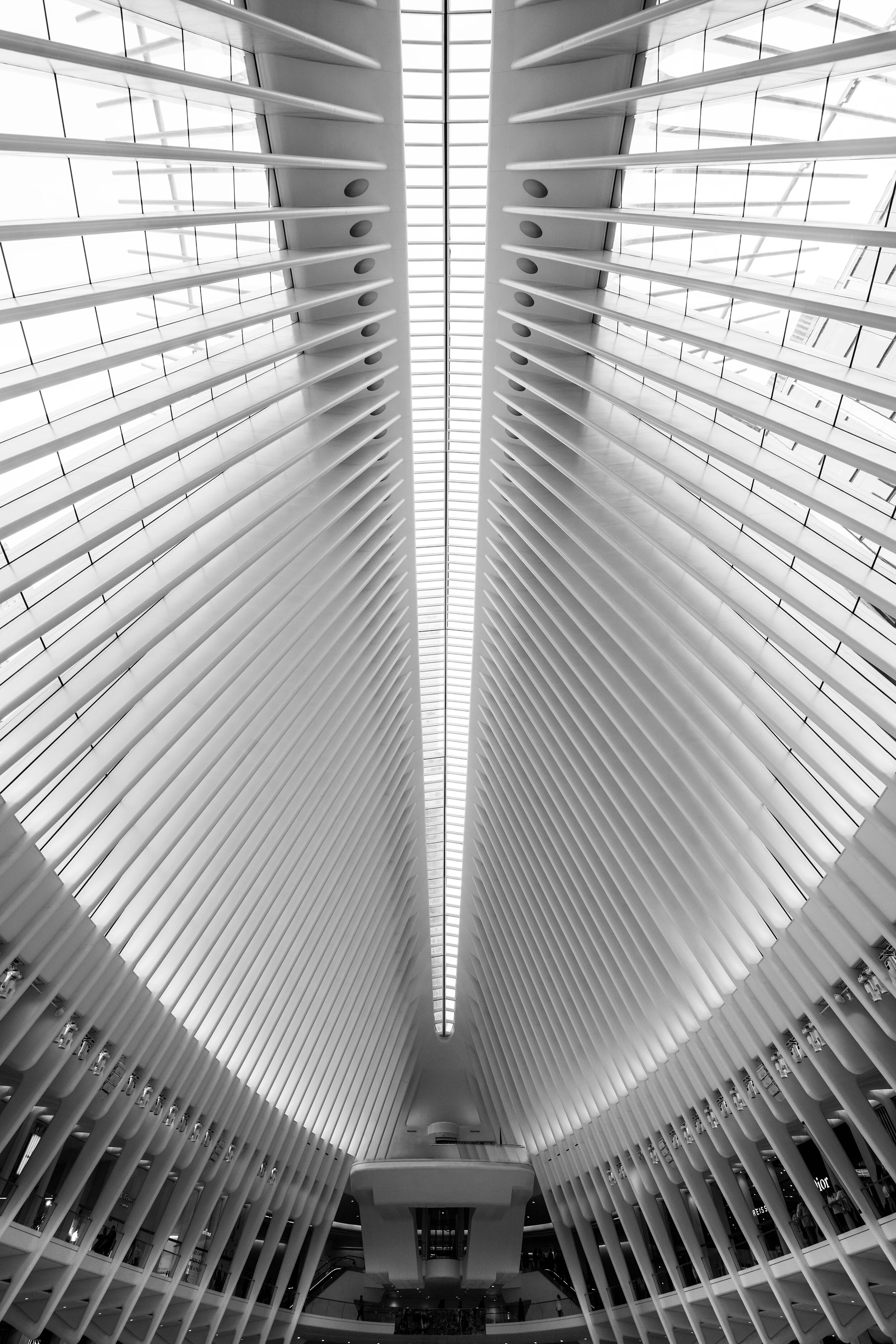 Occulus