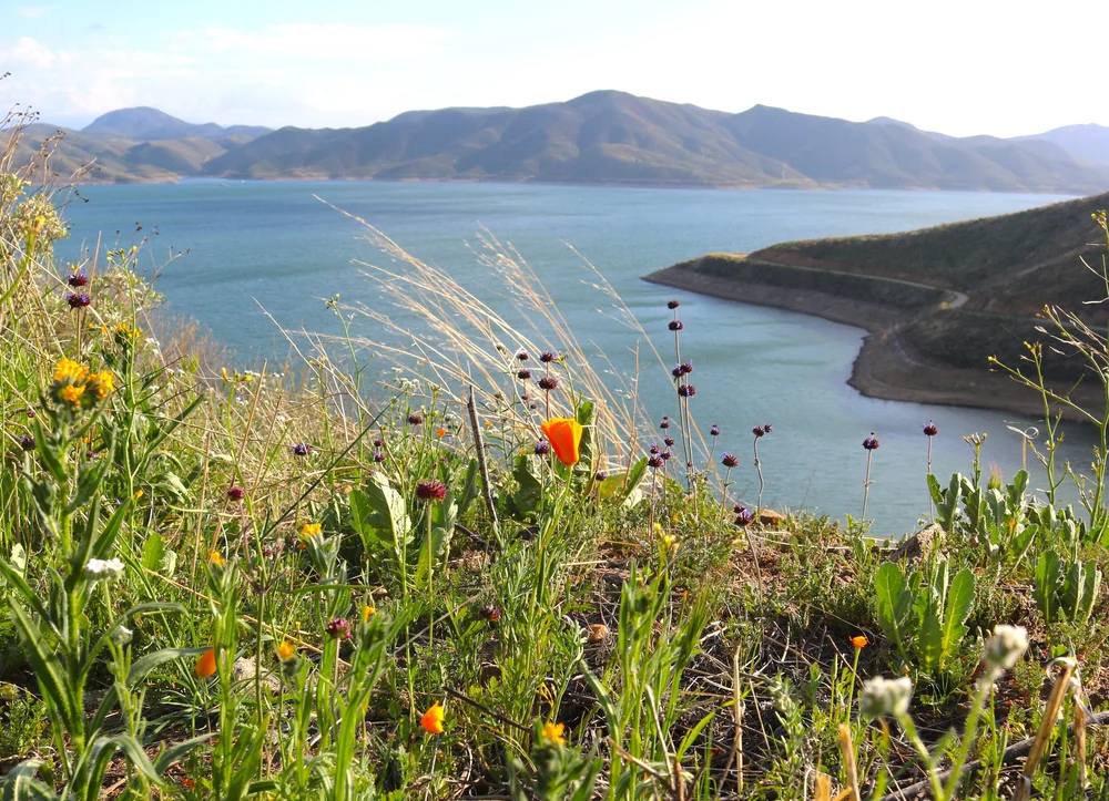 About — Diamond Valley Lake