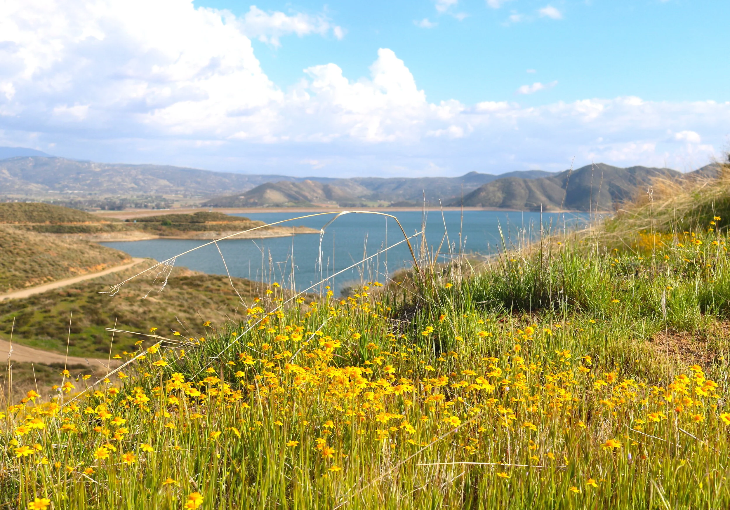 Diamond Valley Lake