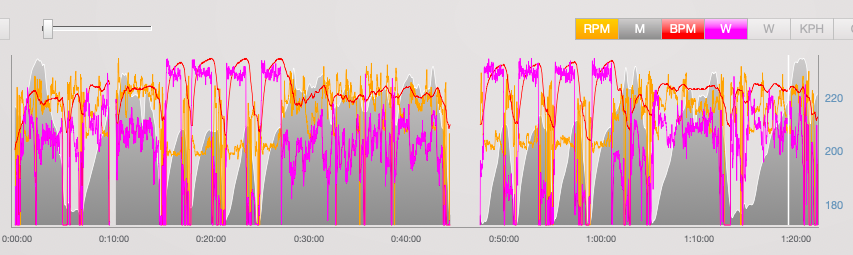 Short and sweet strength session.