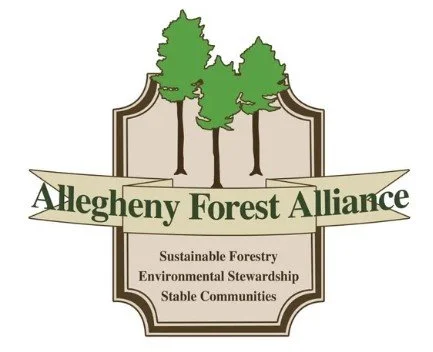 Screenshot 2026-02-26 124501.jpg