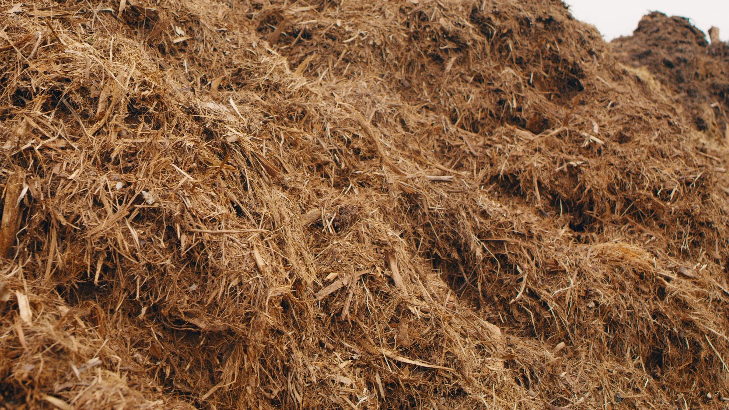 Resource Myakka-8_1.5.2.jpg