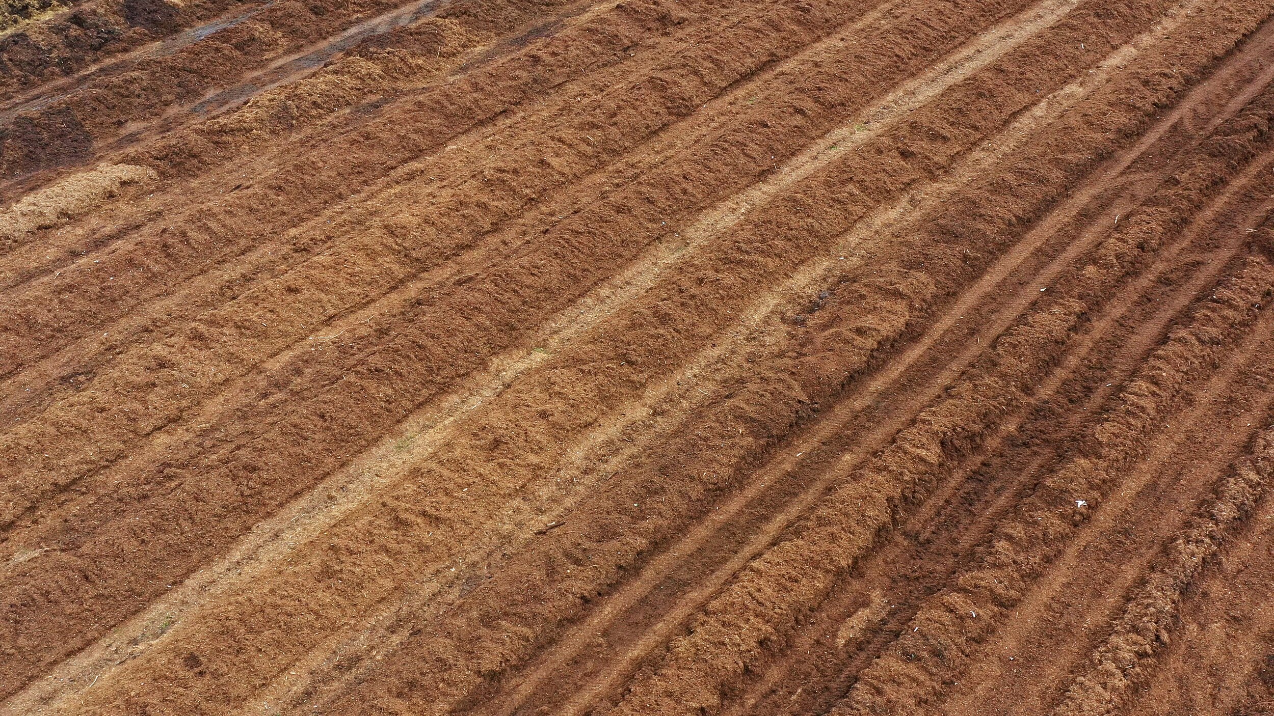 Resource myakka -7_1.2.1.jpg