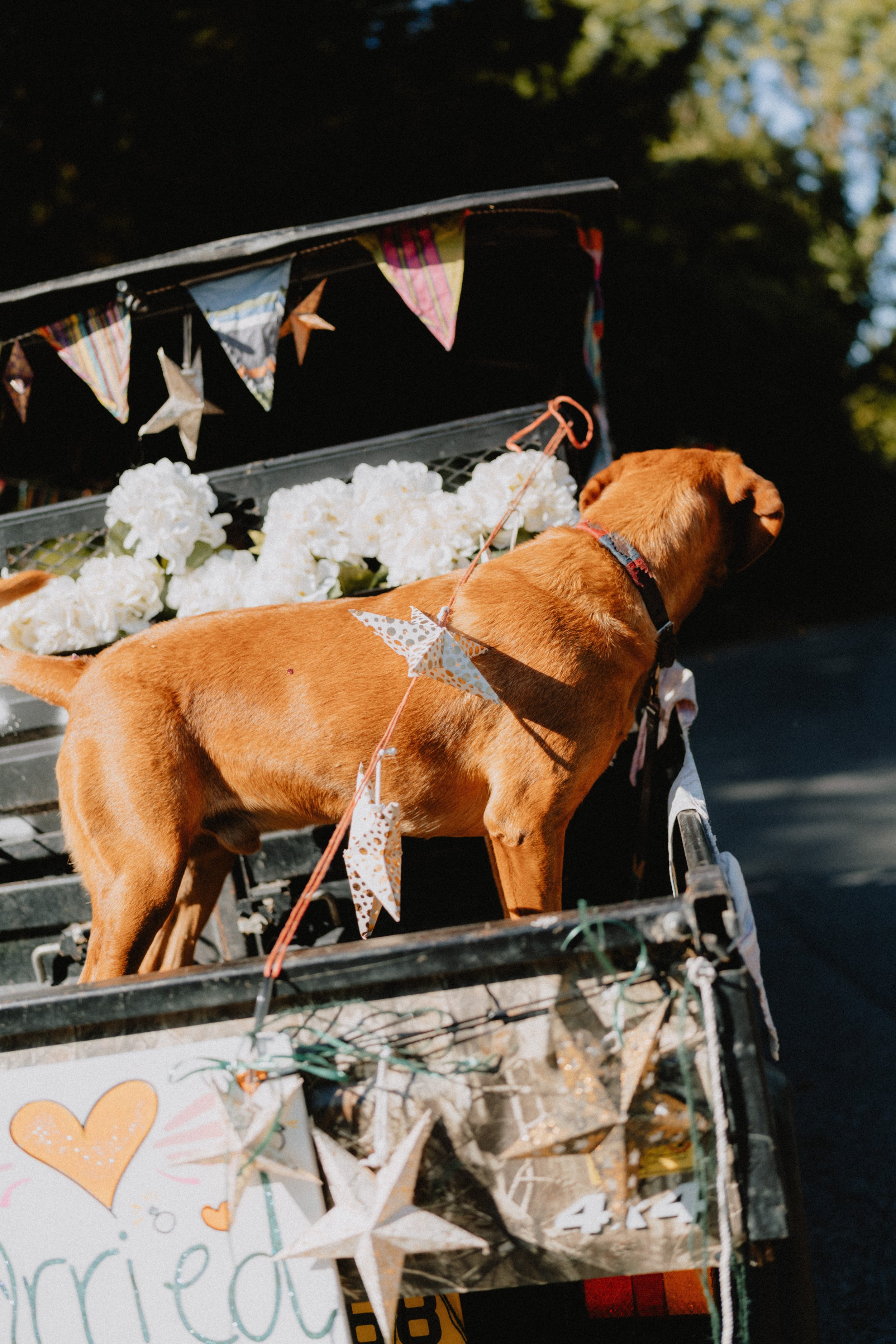 Lottie-&-Ed-Wotton-Under-Edge-Wedding-Joe-Hall-92.jpg