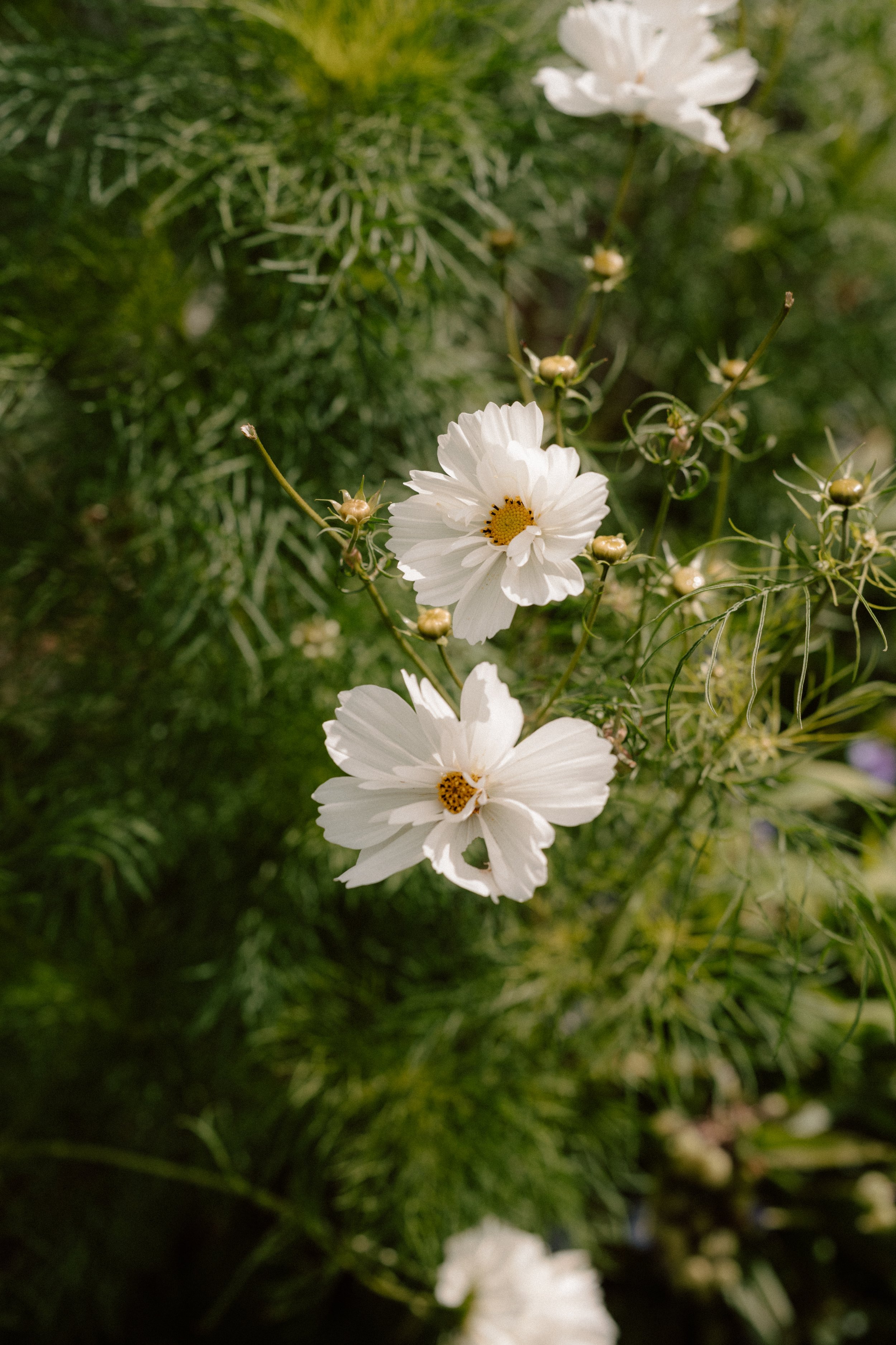 Lake District Wedding Details