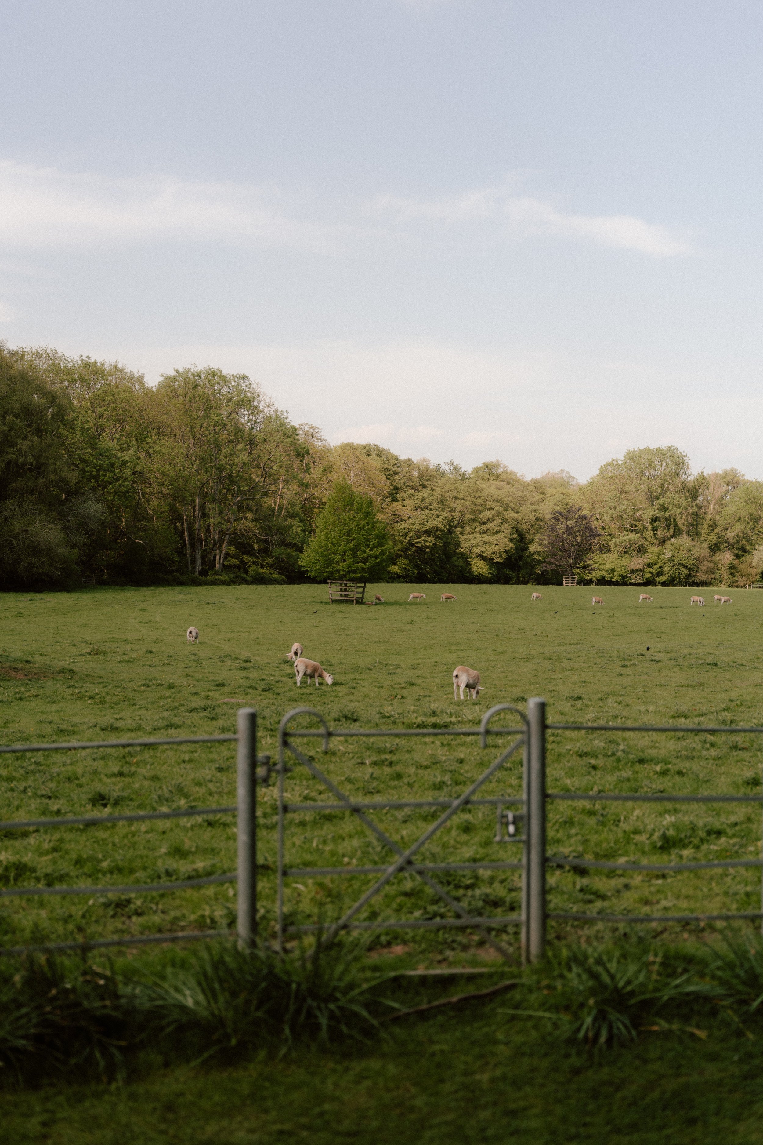 Maisie-&-Ollie-Gate-Street-Barn-Wedding-Drinks-Reception-Digital-and-Film-7.jpg