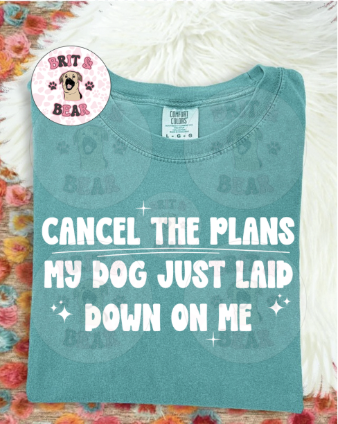 Screen Shot 2025-12-02 at 9.13.36 PM.png