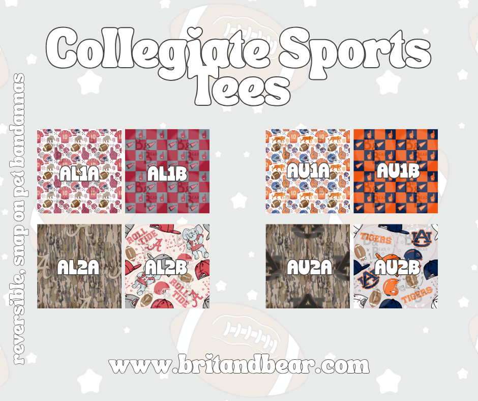 collegiatesportsteesAUAL.png