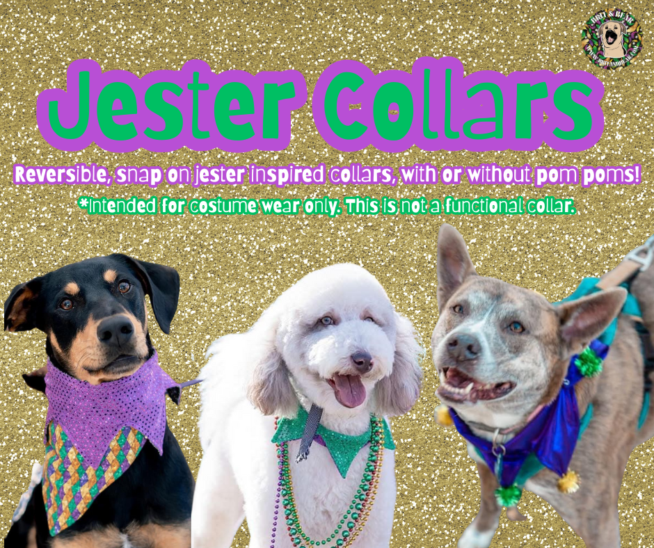 JESTERCOLLARS.png