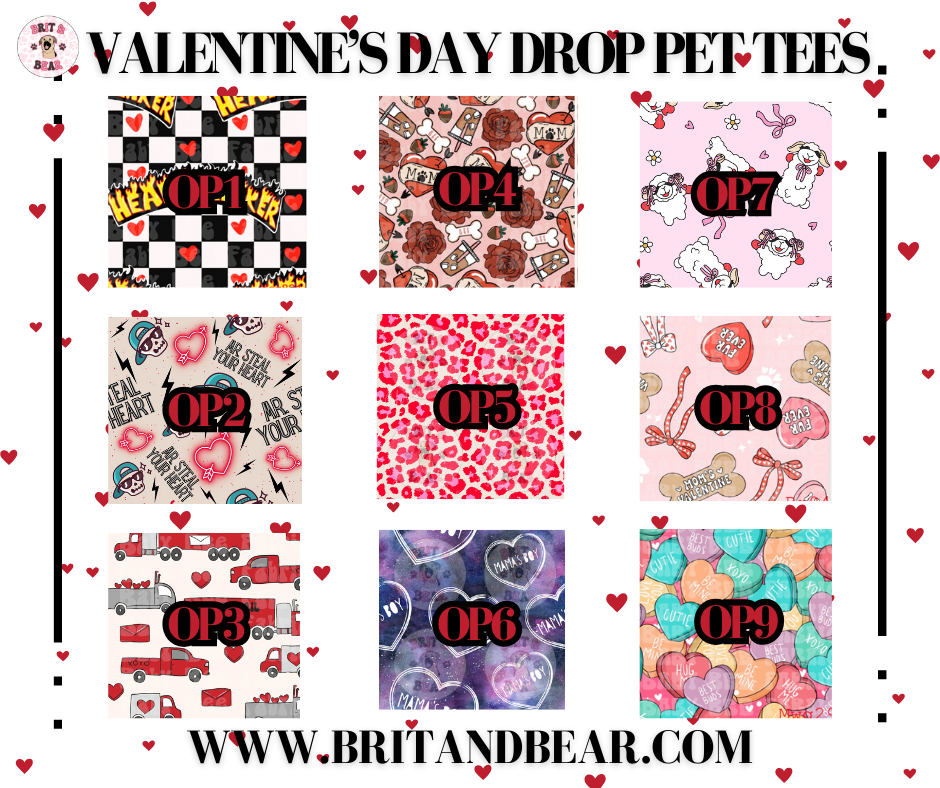 Valentine's Day Drop Pet Tees