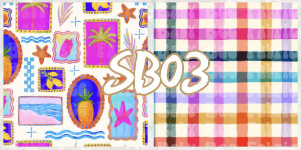 SB03 | Reversible Pet Bandanna