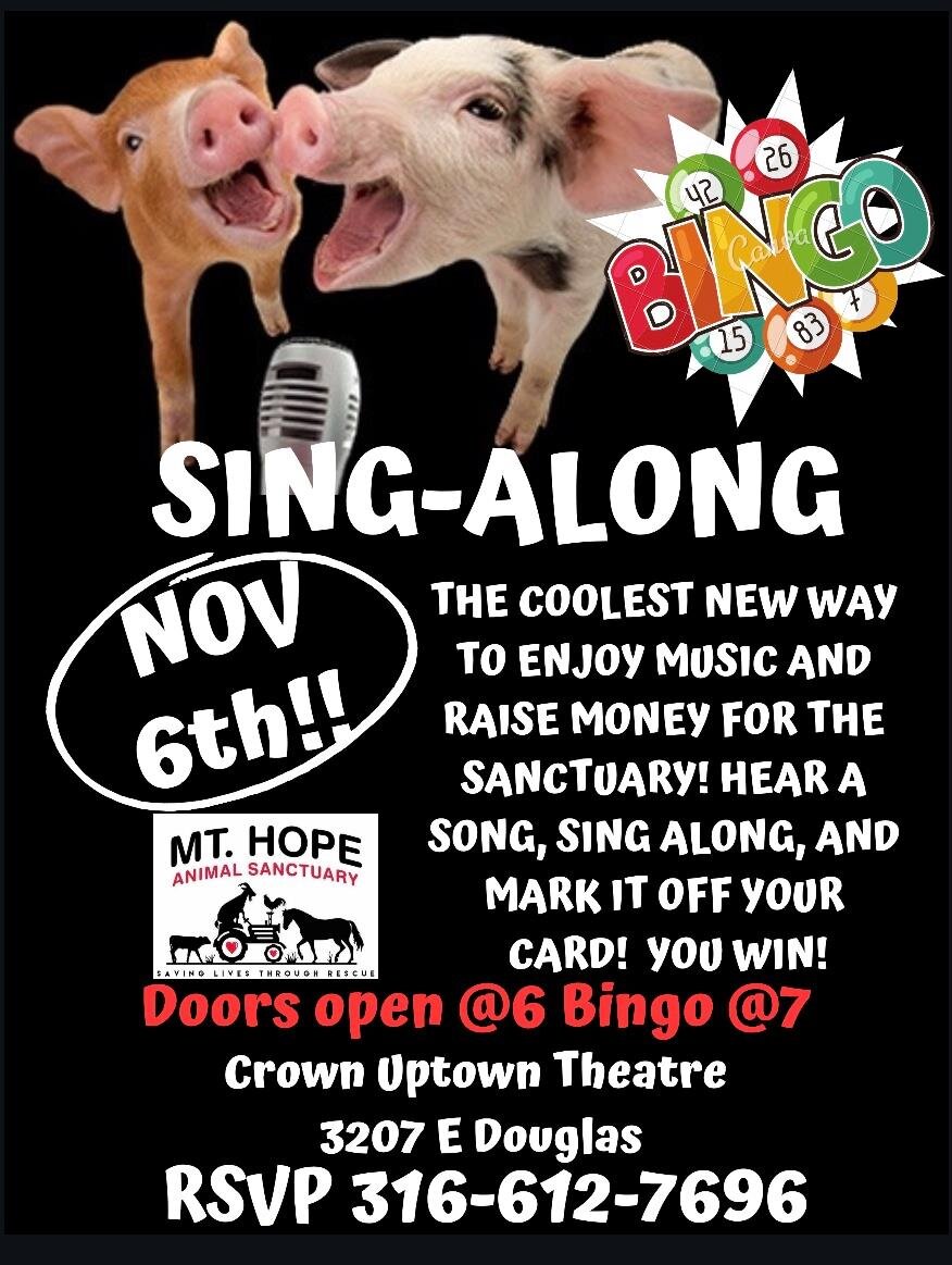 Bingo song kids Bingo song kids