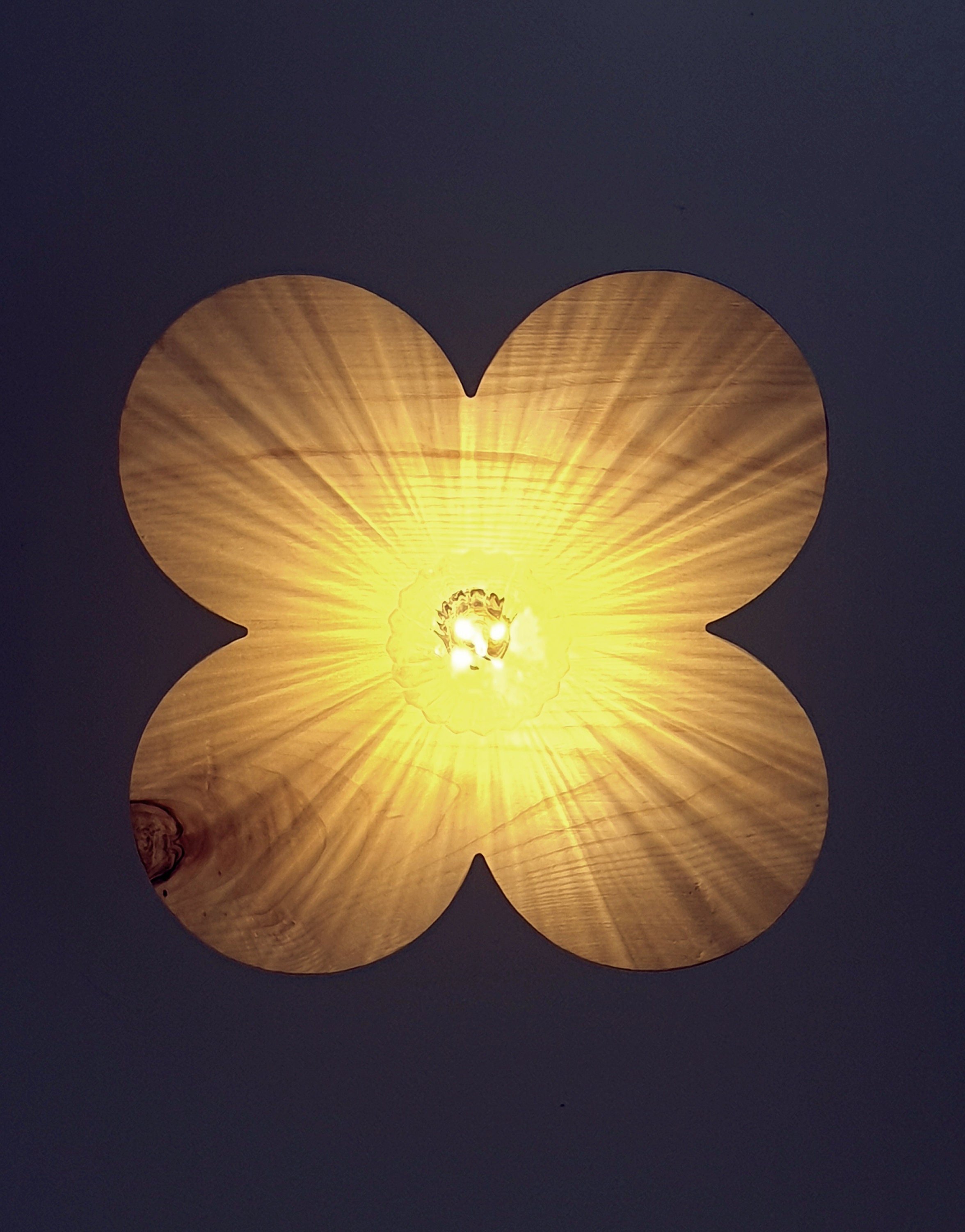 https://i.etsystatic.com/22682796/r/il/8306c3/3364245641/il_fullxfull.3364245641_gqtn.jpg