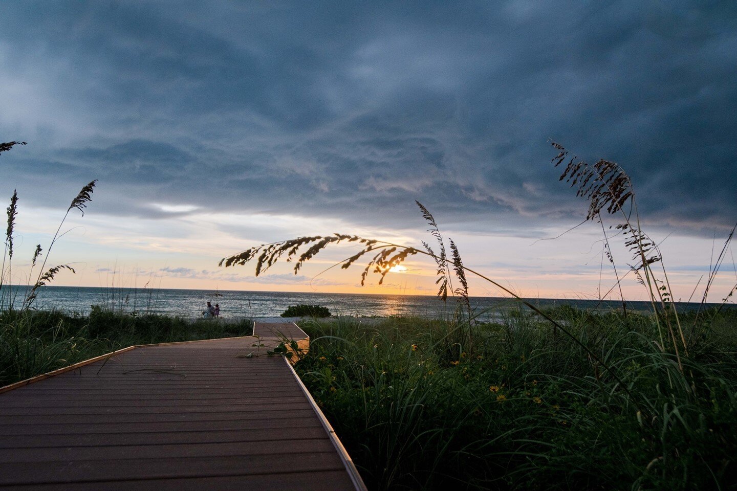 The sea oats guiding you out into the sea.⁠
.⁠
.⁠
.⁠
#fortmyers #swfl #swfldesign #landscapearchitect #archdigest #gulfshorelife #gulfshorelocal #entrepreneur #landscapearchitecture #floridadesign #swfldesign #landscapedesign #landscapereno #hgtv #fl