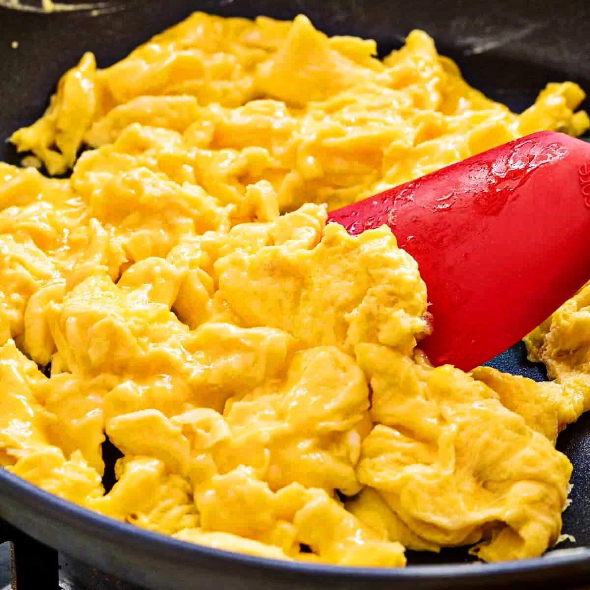 390F47F1-E938-4759-BCAB-7480E0333DD4