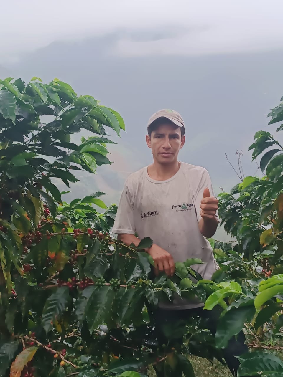 Cafe_Imports_Ecuador_Felipe_Luzon1-2025-01-15-221208.jpg
