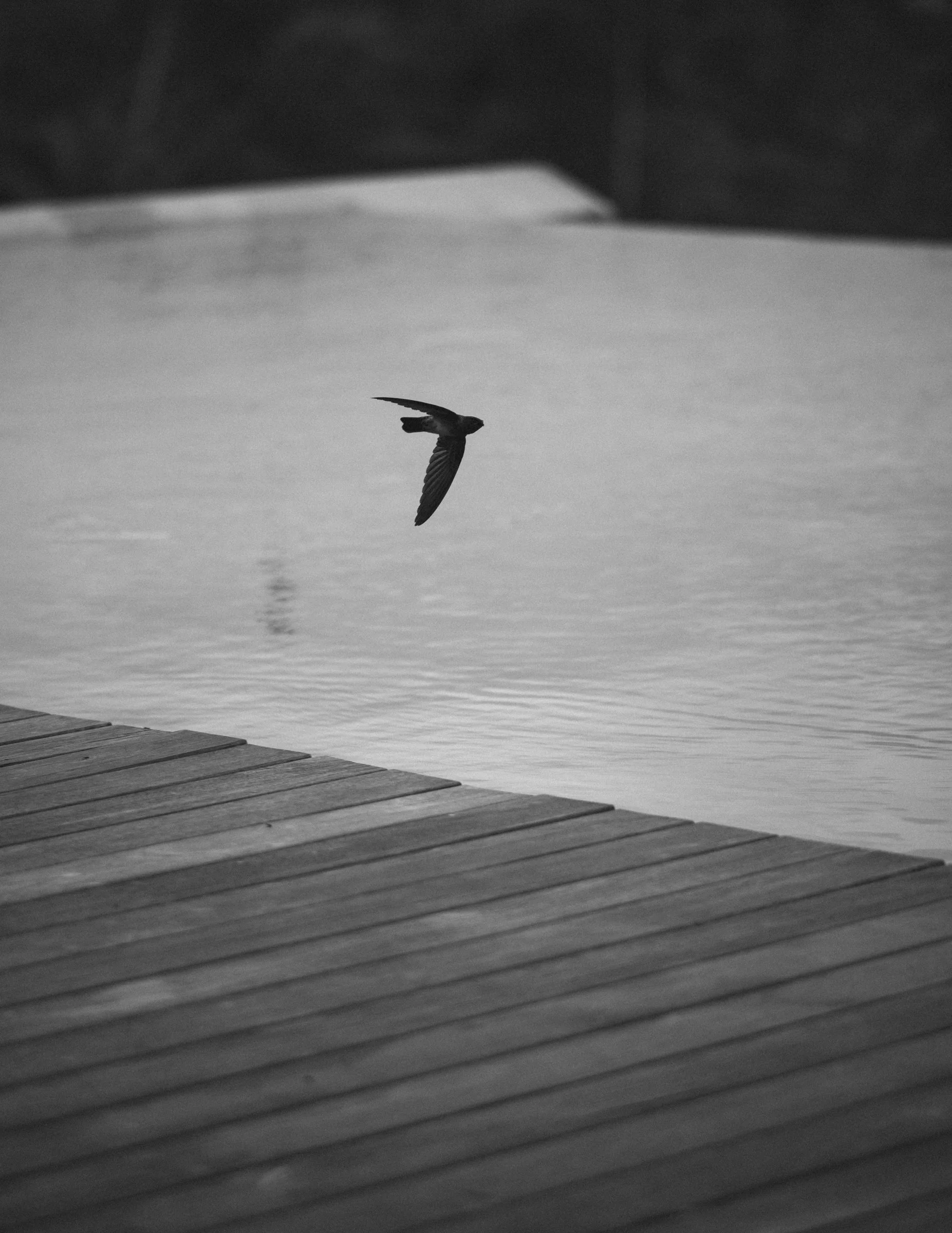 jungblut_photography_040.jpg