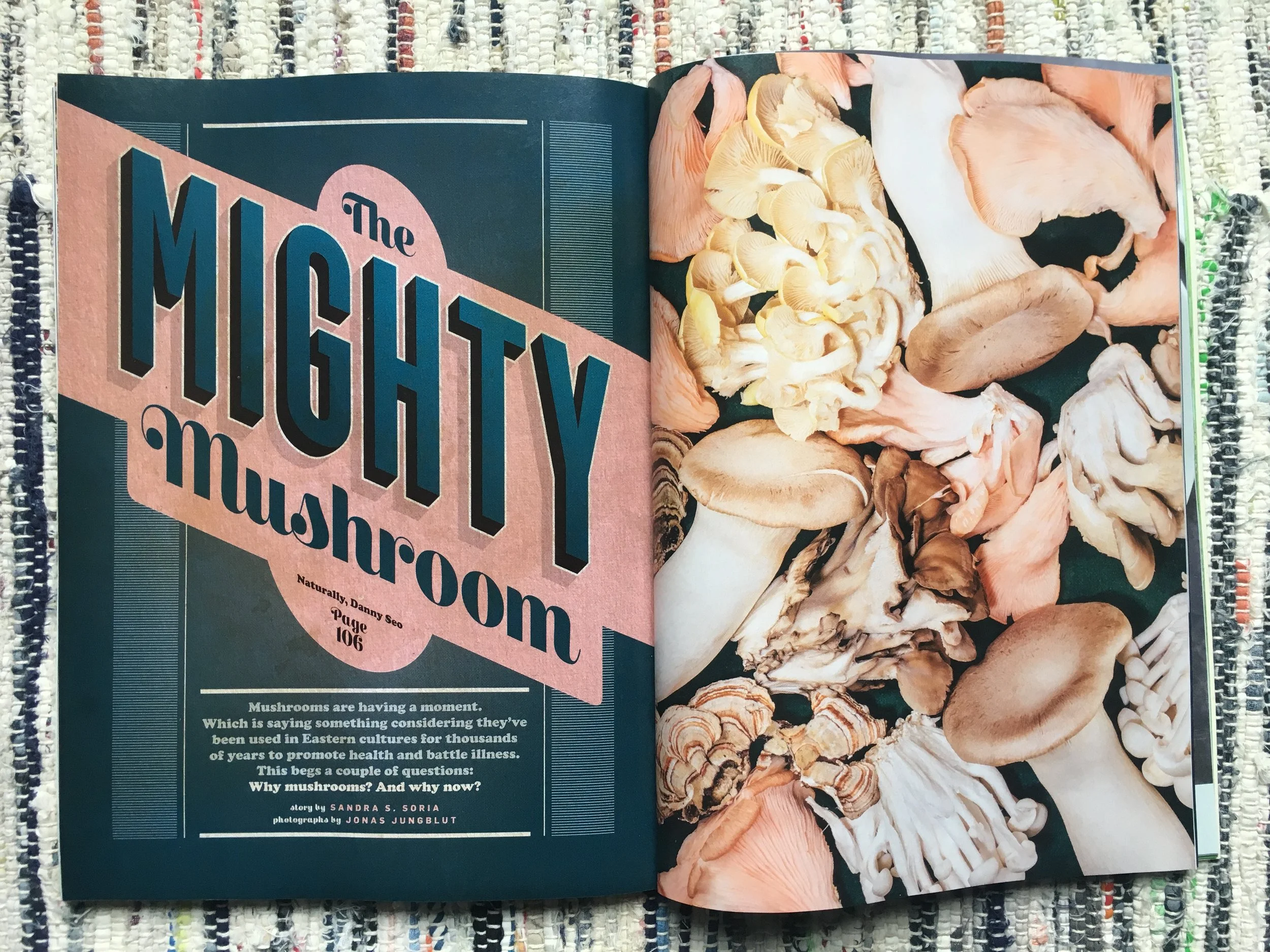 jungblut_tearsheet_223.JPG