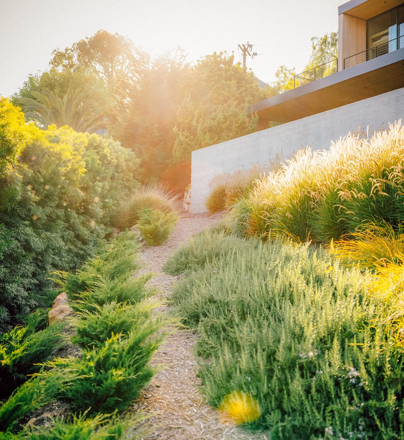Landscape Architecture and Design Photography in Santa Barbara, Montecito and California by Jonas Jungblut.