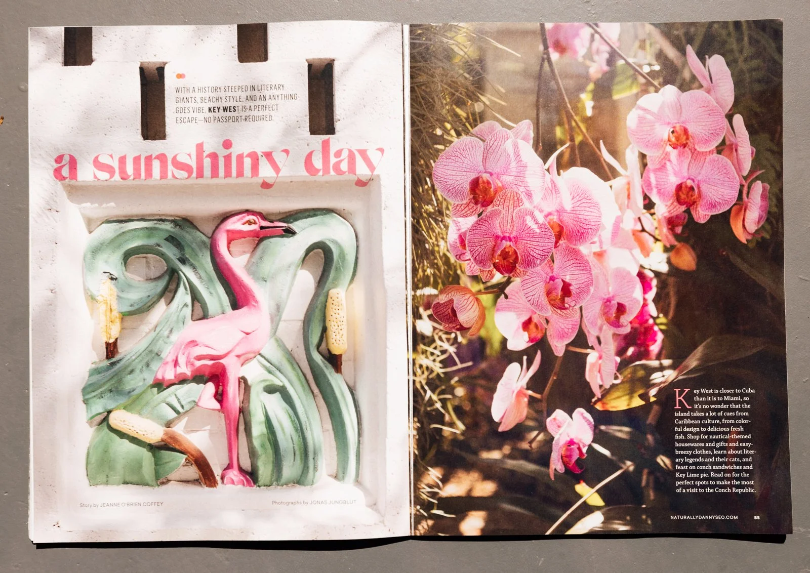 jungblut_tearsheet_238.jpg
